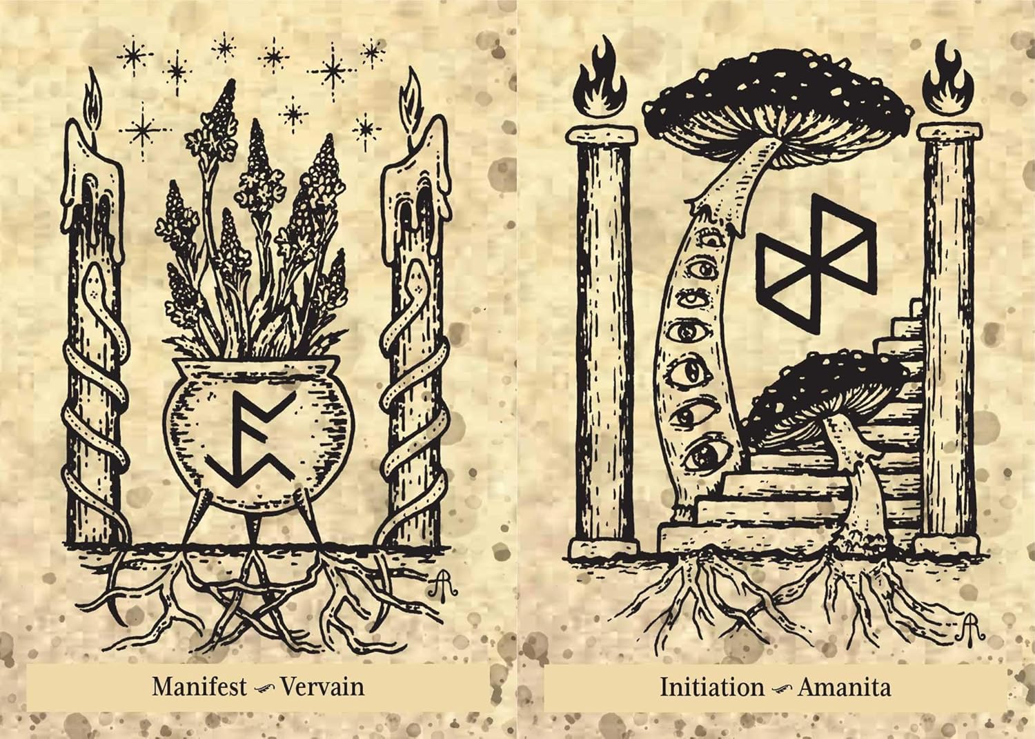 Runes & Roots Oracle