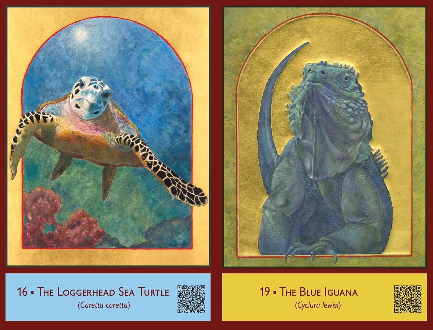 Sacred Biodiversity Oracle
