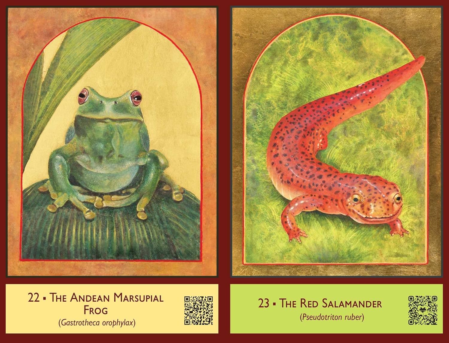 Sacred Biodiversity Oracle