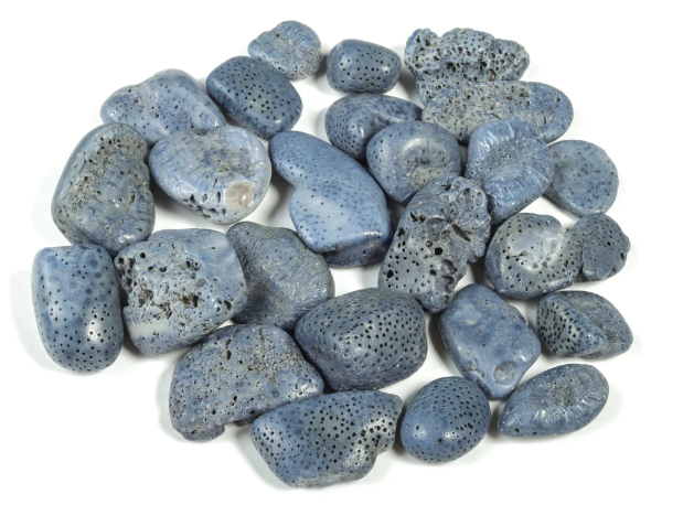 Blue Coral
