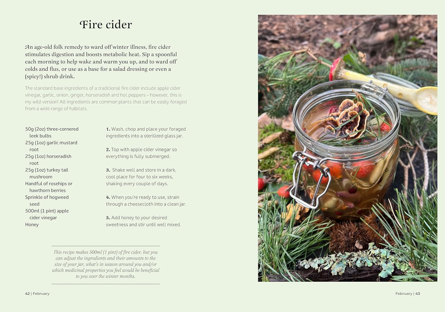The Forager's Almanac