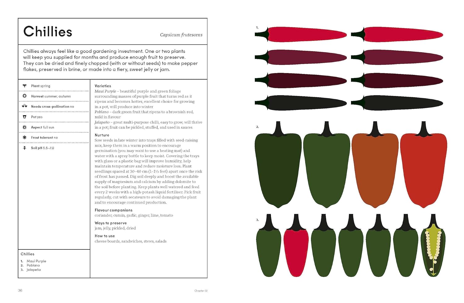 The Preserving Garden
