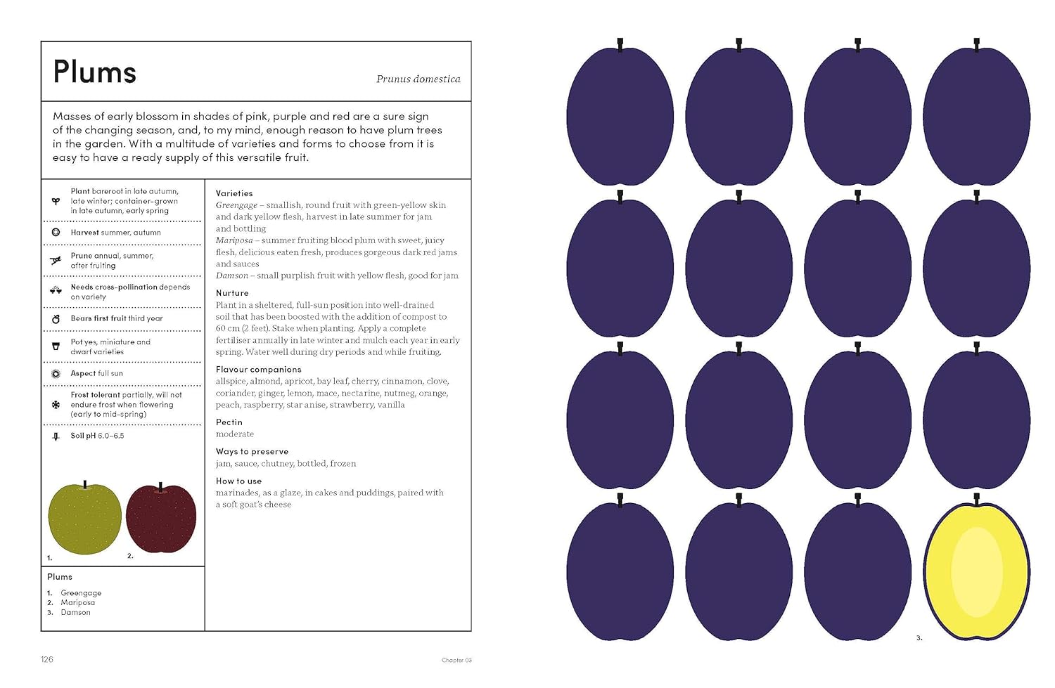 The Preserving Garden