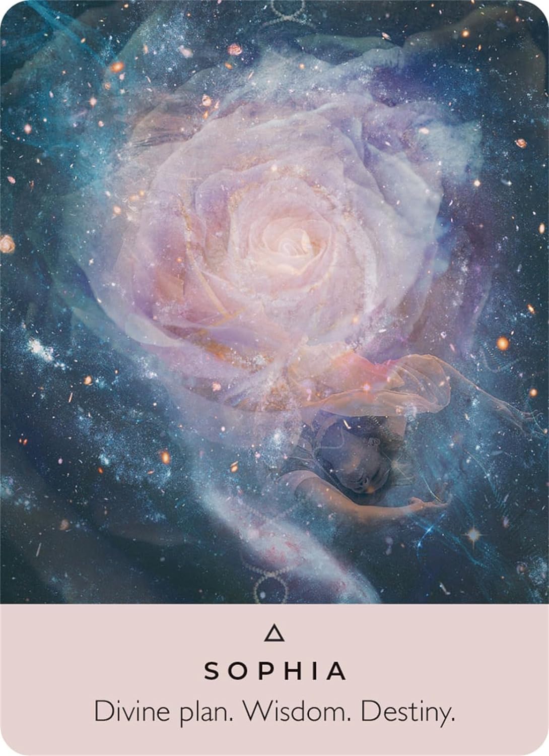 The Rose Oracle (Pocket)