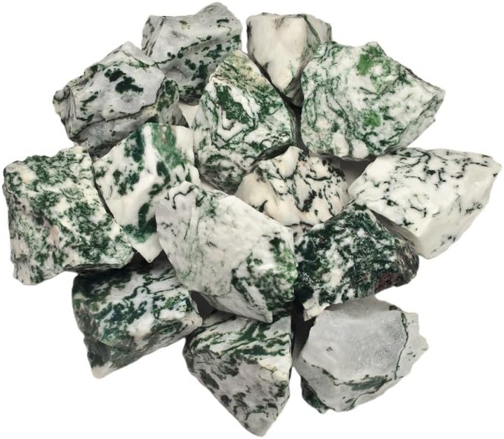 Tree Agate (Raw)