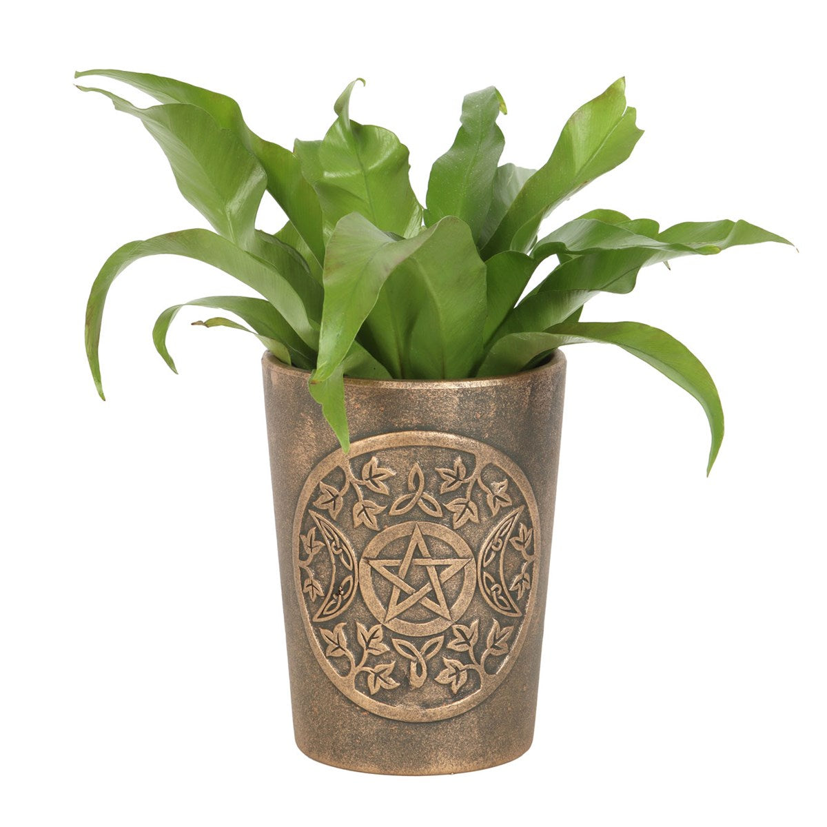 Triple Moon Plant Pot