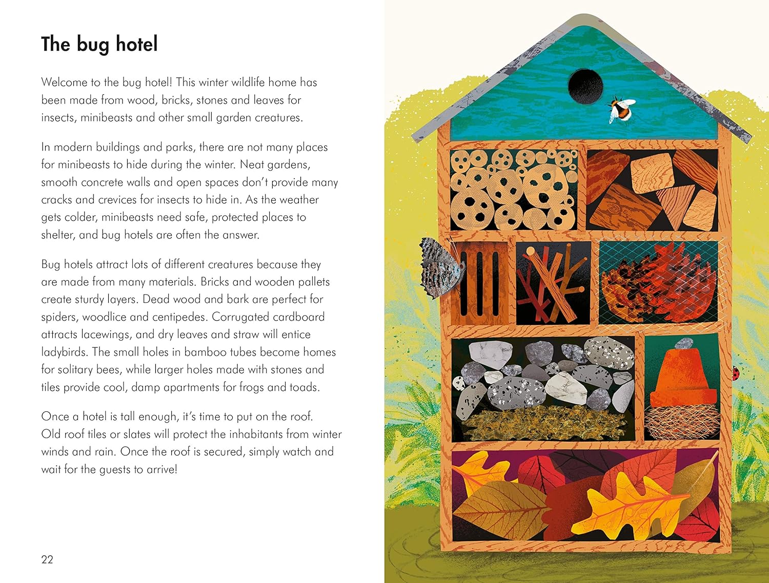 What To Look For In Autumn