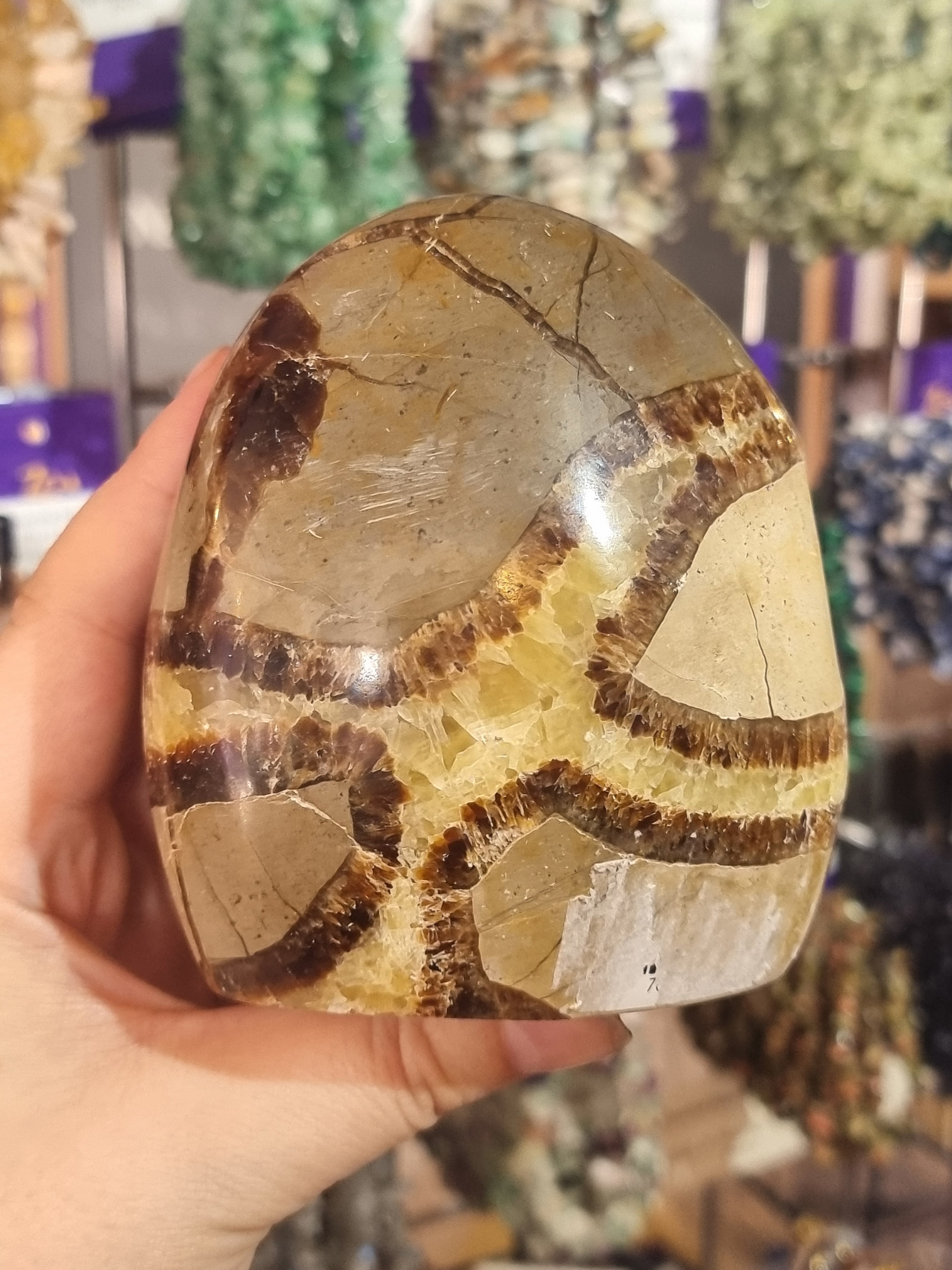 Septarian Freeform