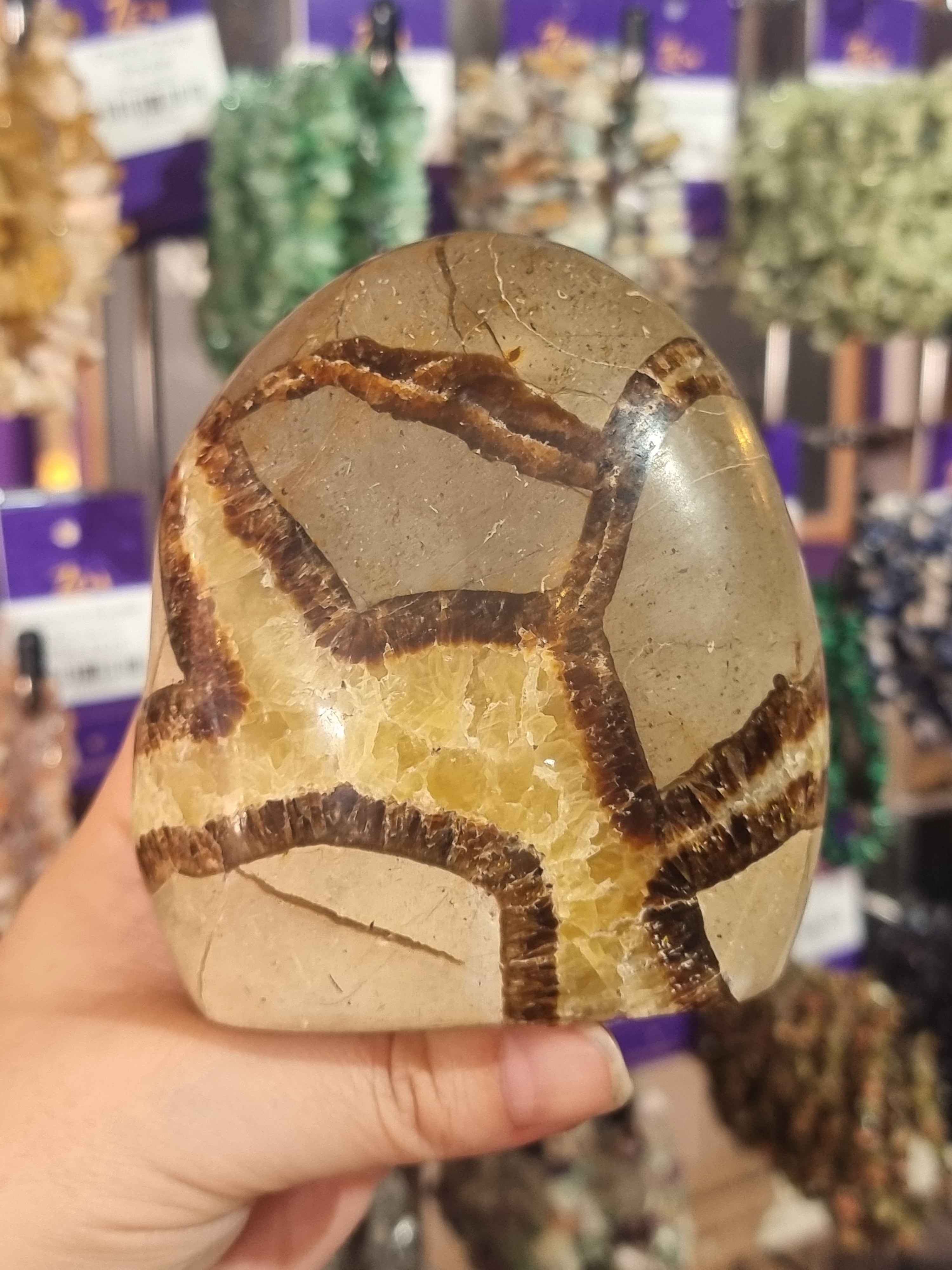 Septarian Freeform