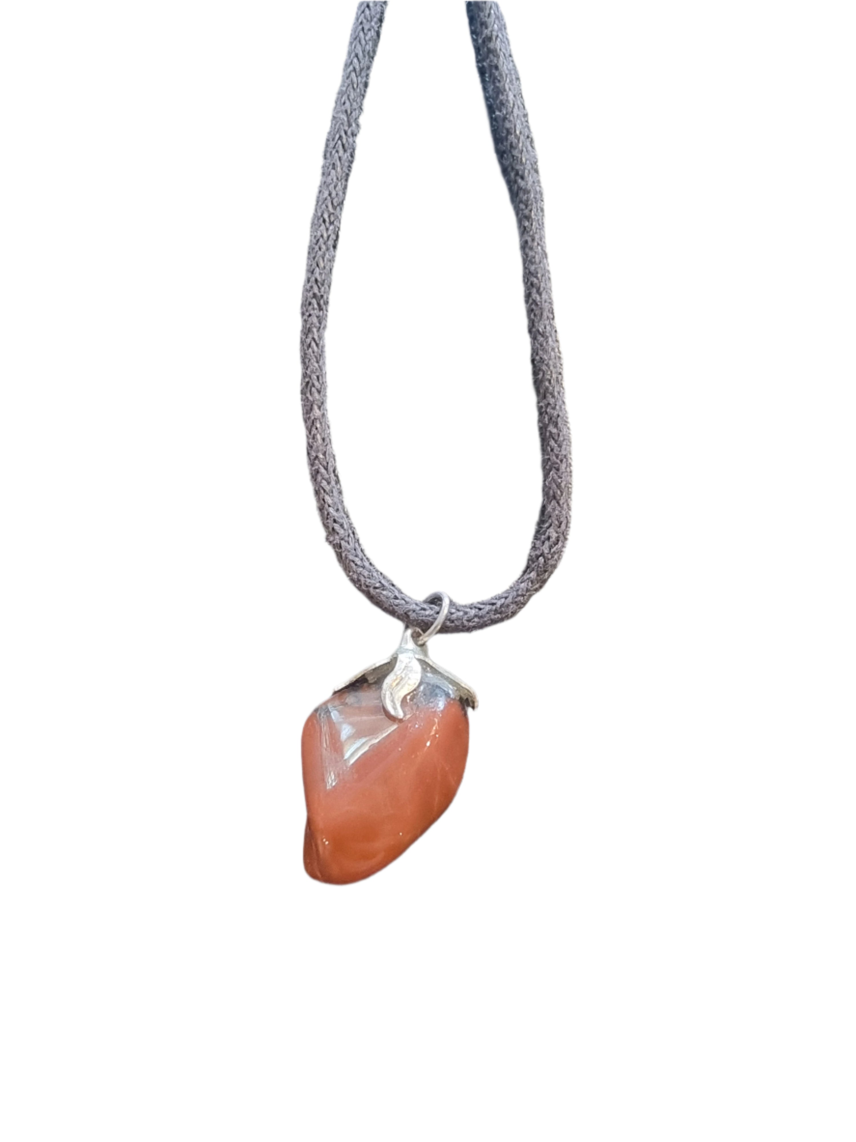 Petrified Wood Pendant
