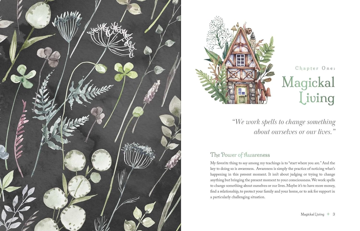 The Witch's Apothecary