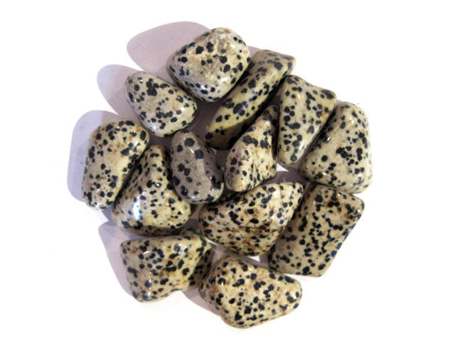 Dalmation Jasper