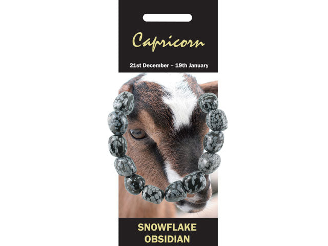 Capricorn Bracelet