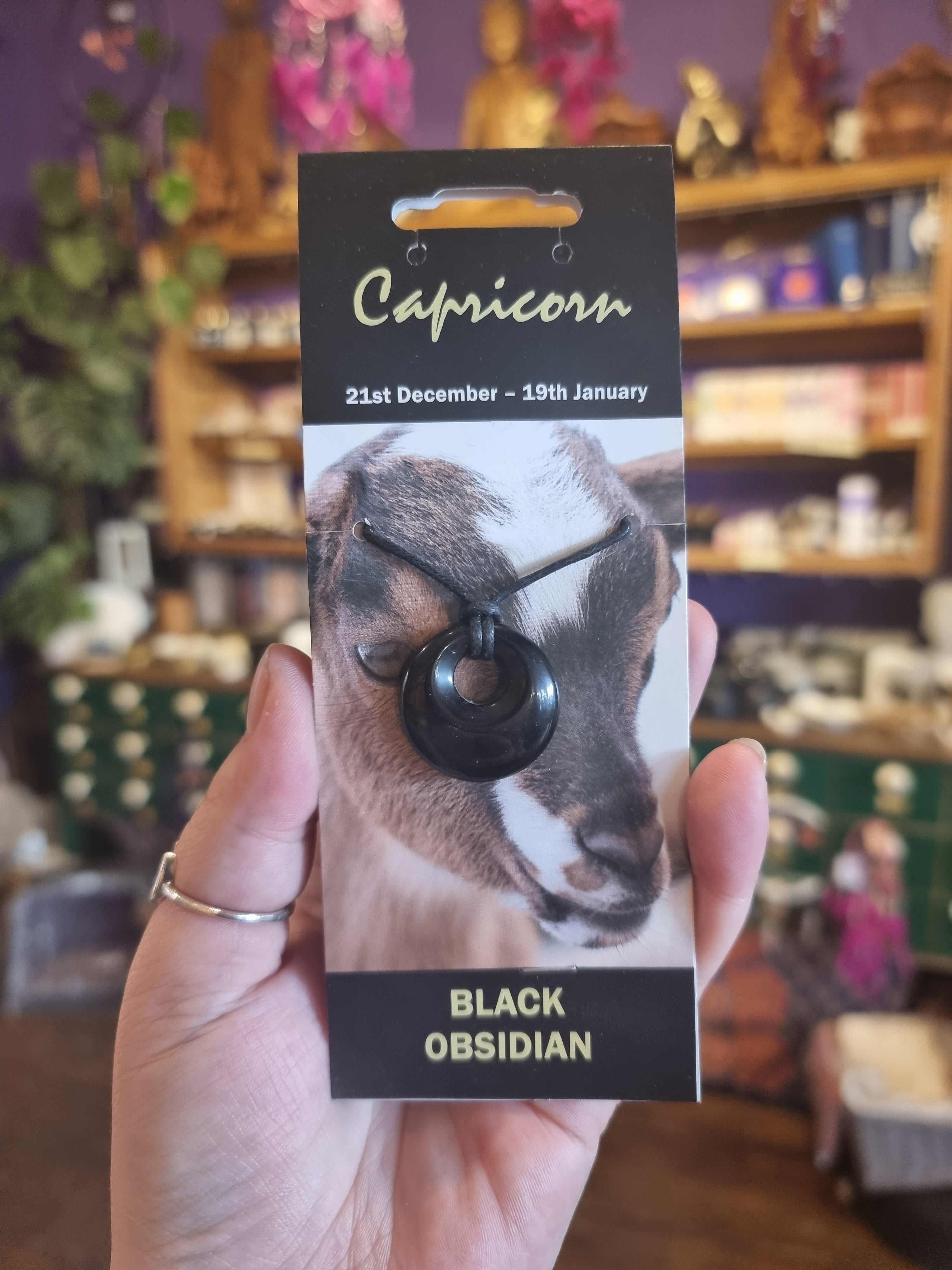Capricorn Round Pendant