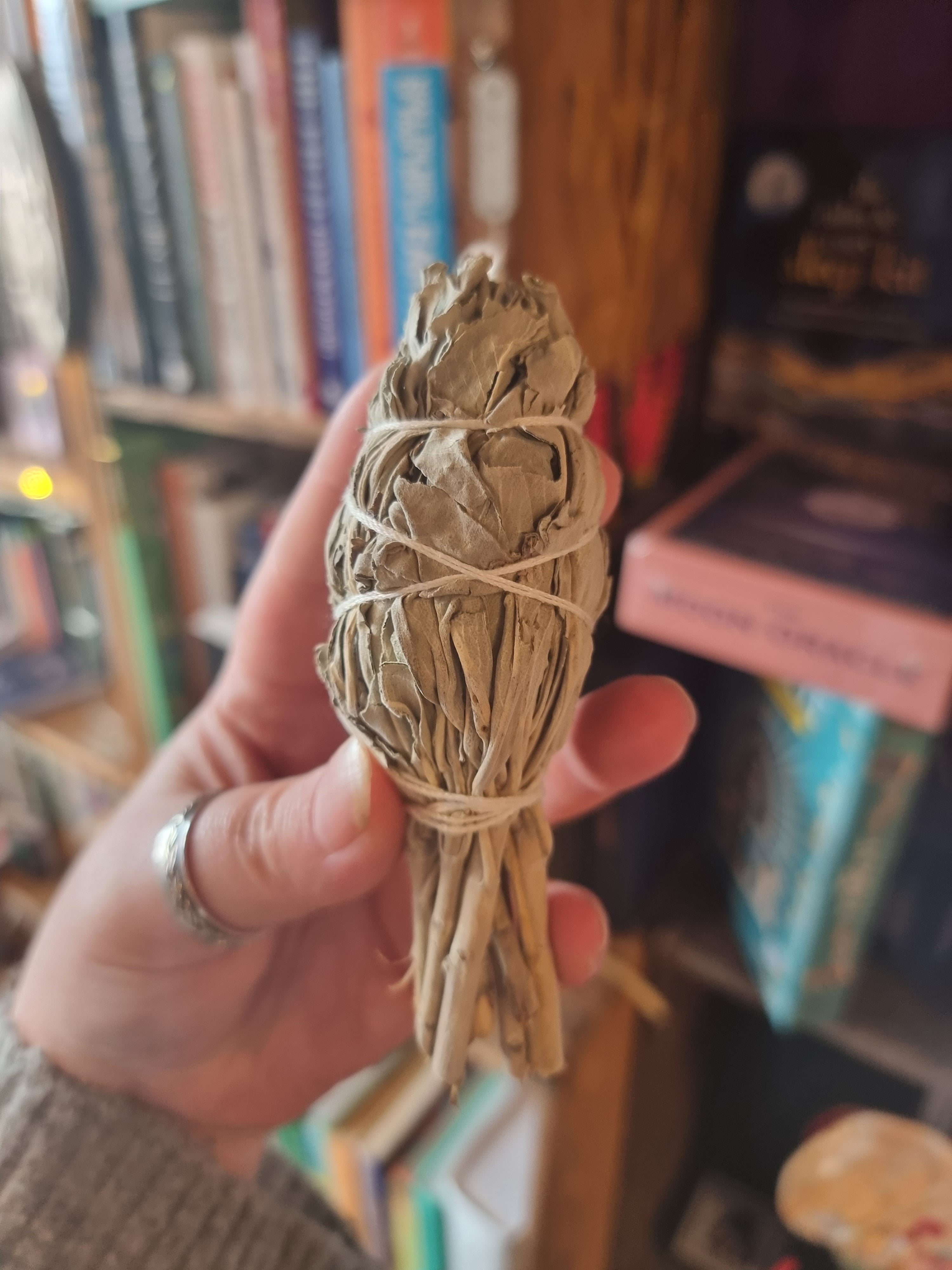 White Sage Smudge Stick (3Inch)