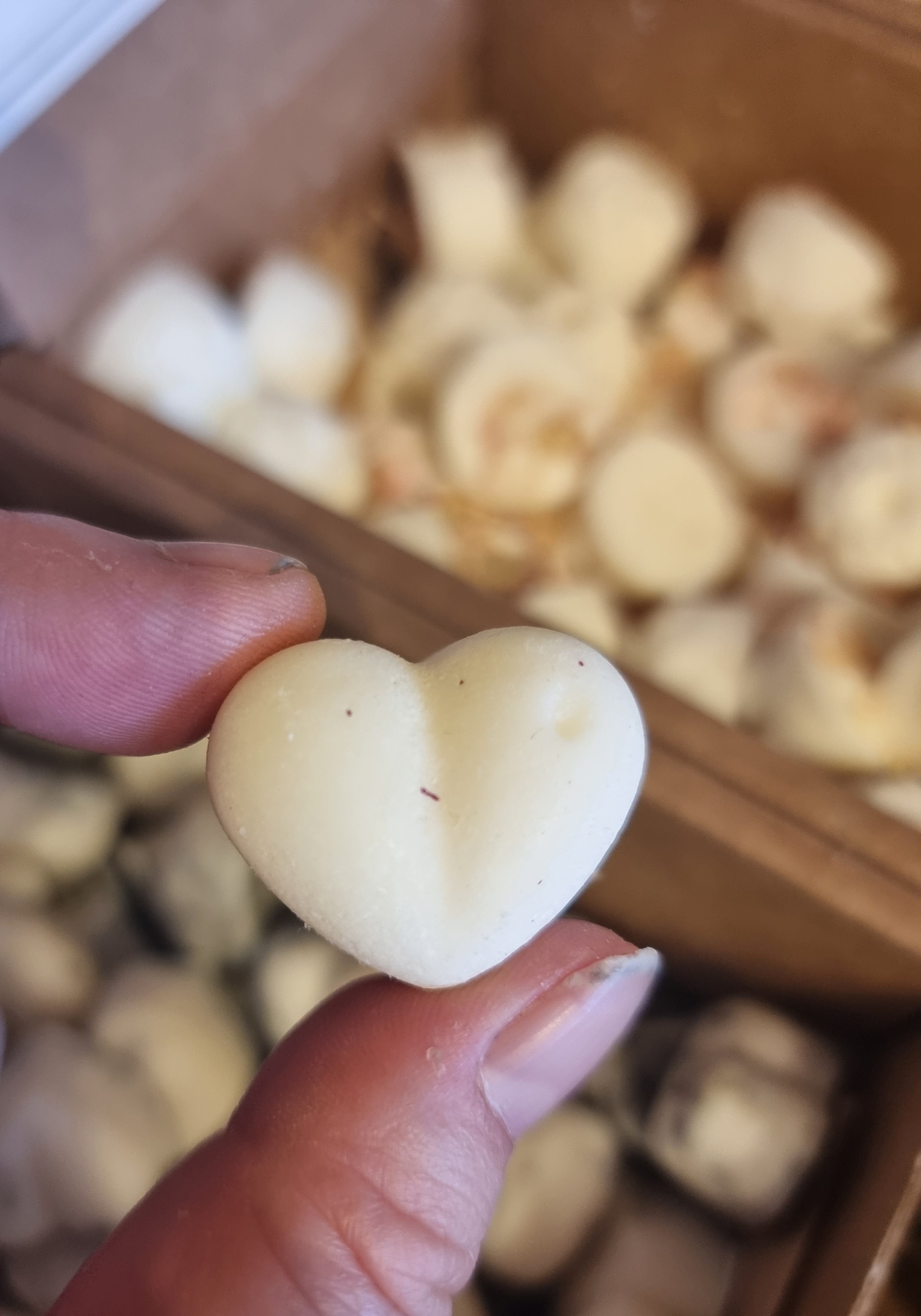 Grapefruit & Mangosteen Wax Melts