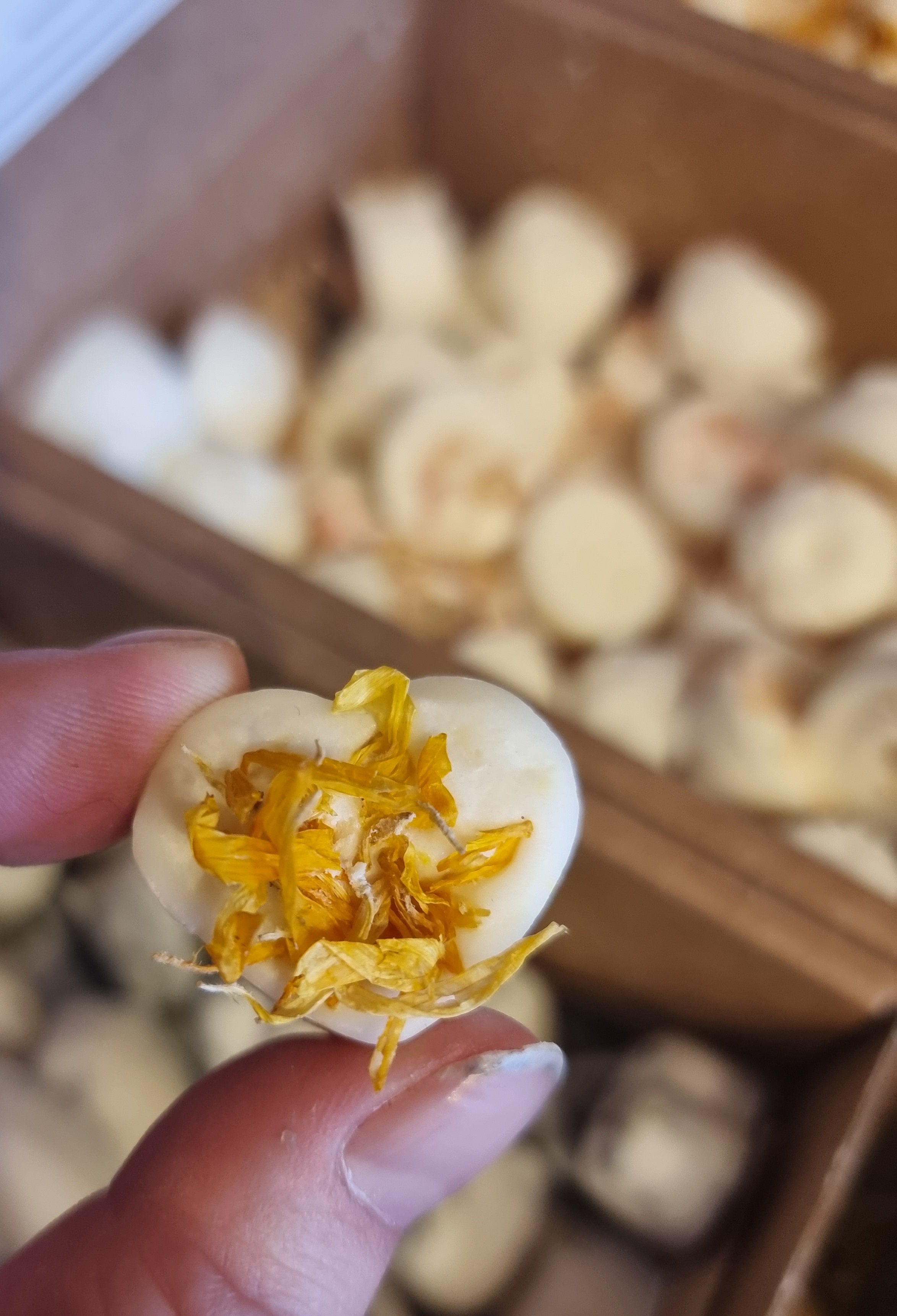 Grapefruit & Mangosteen Wax Melts