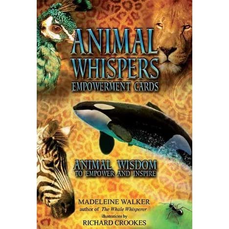 Animal Whispers Empowerment Cards