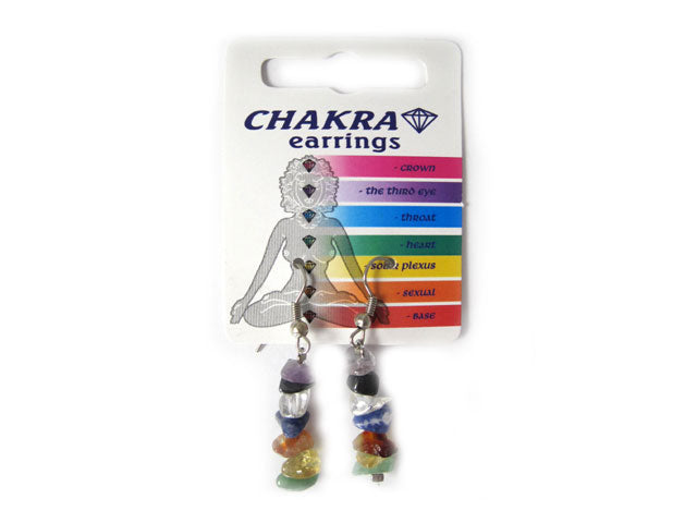 Chakra Raw Beaded Earrings