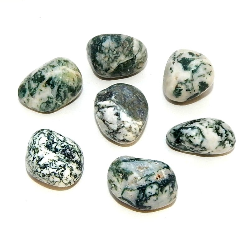 Tree Agate