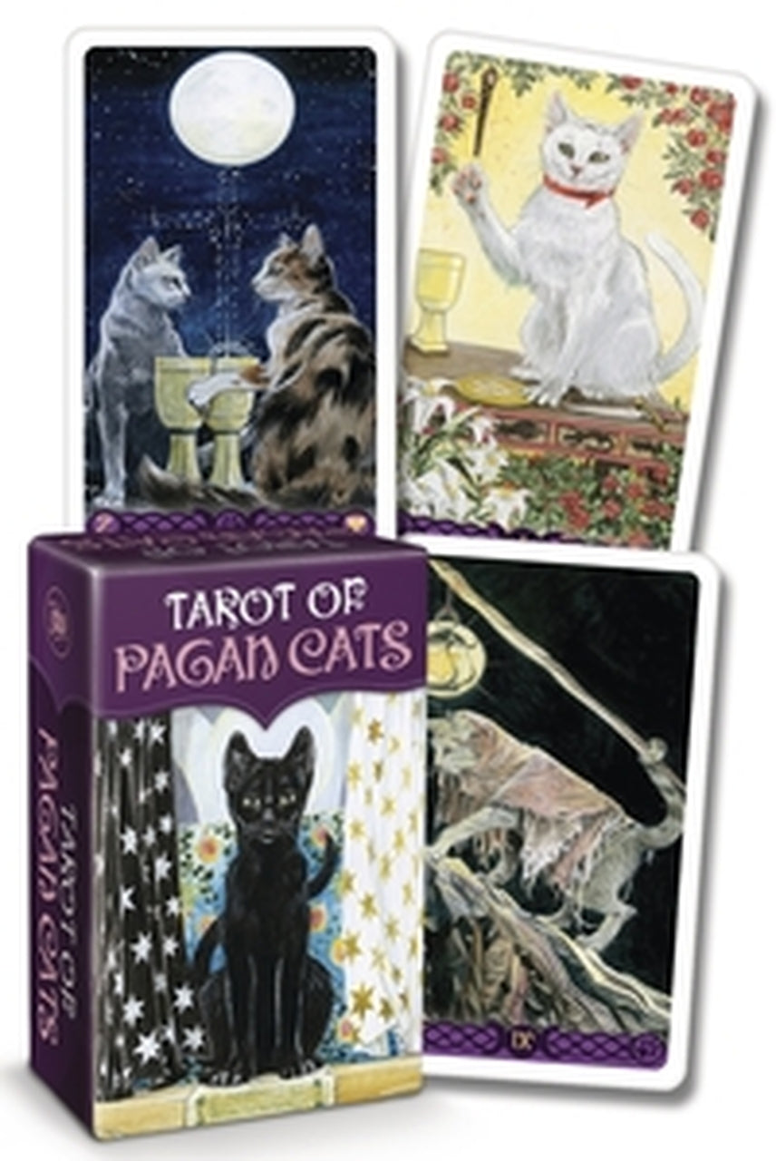 Tarot Of Pagan Cats (Pocket Edition)