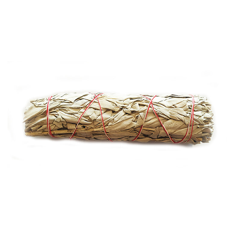 White Sage Smudge Stick (6Inch)