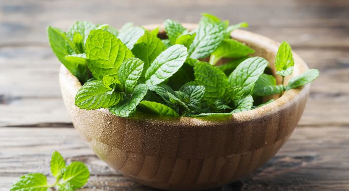 Healing & Magical Uses of Peppermint