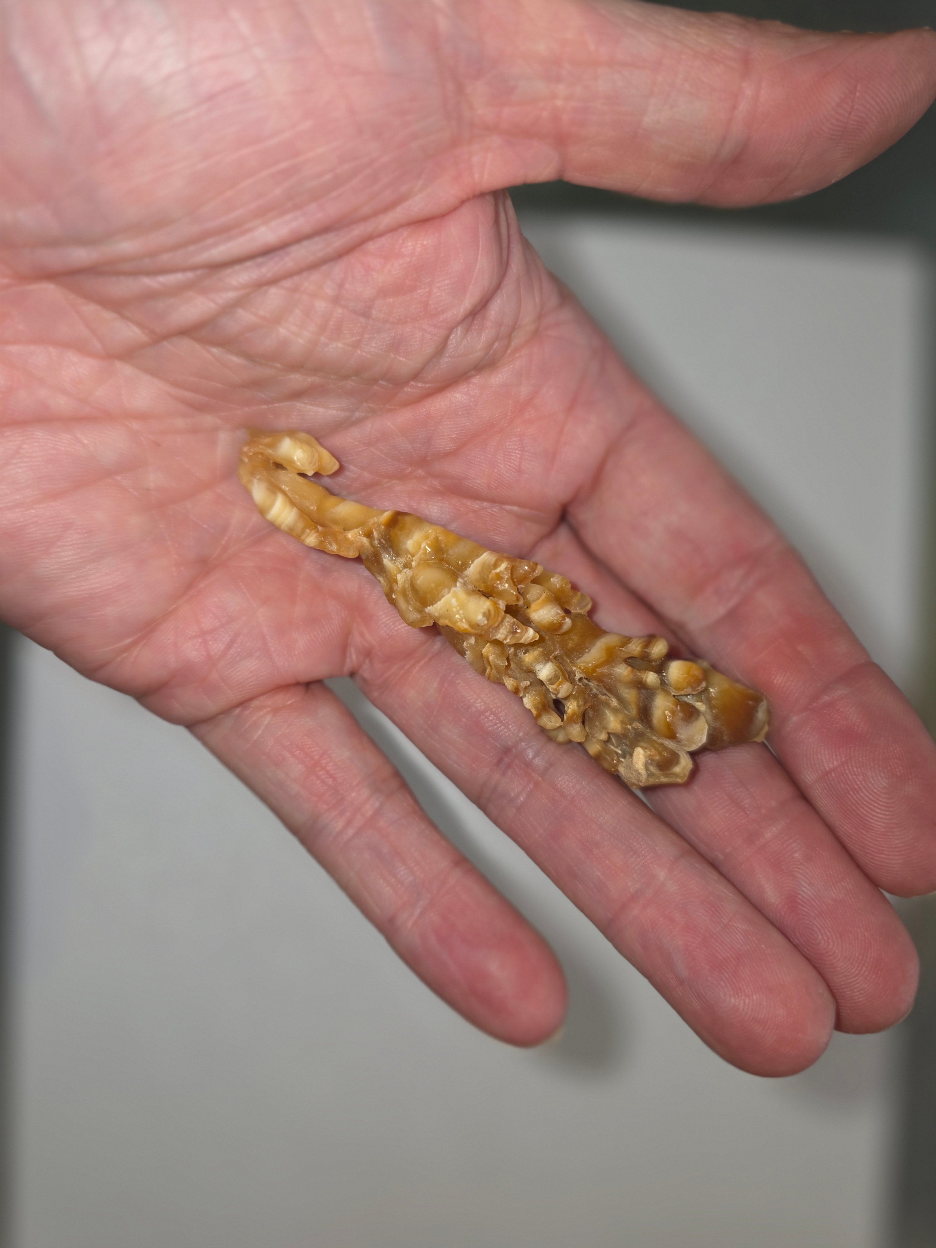 Aragonite Specimen 2