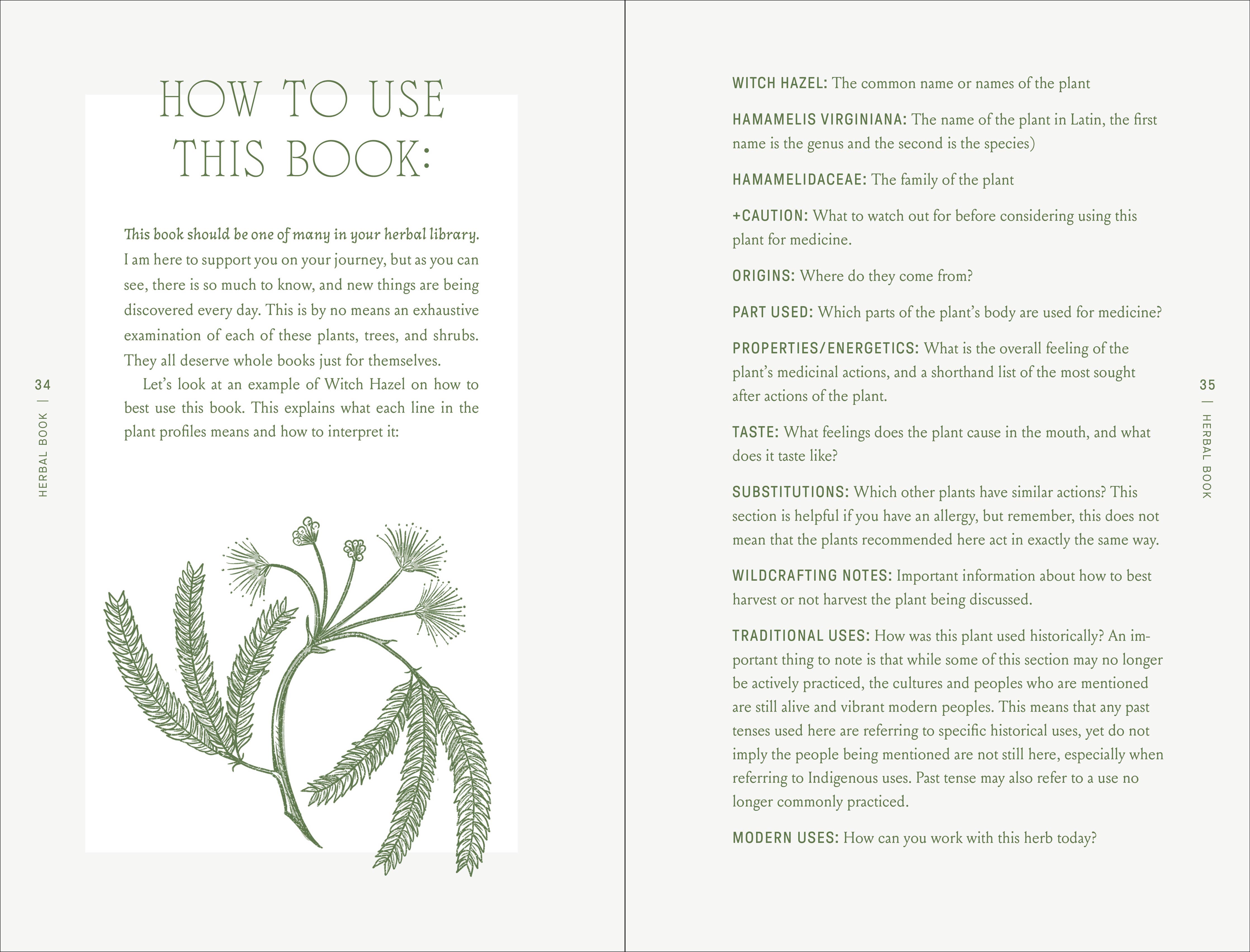 Complete Folk Herbal