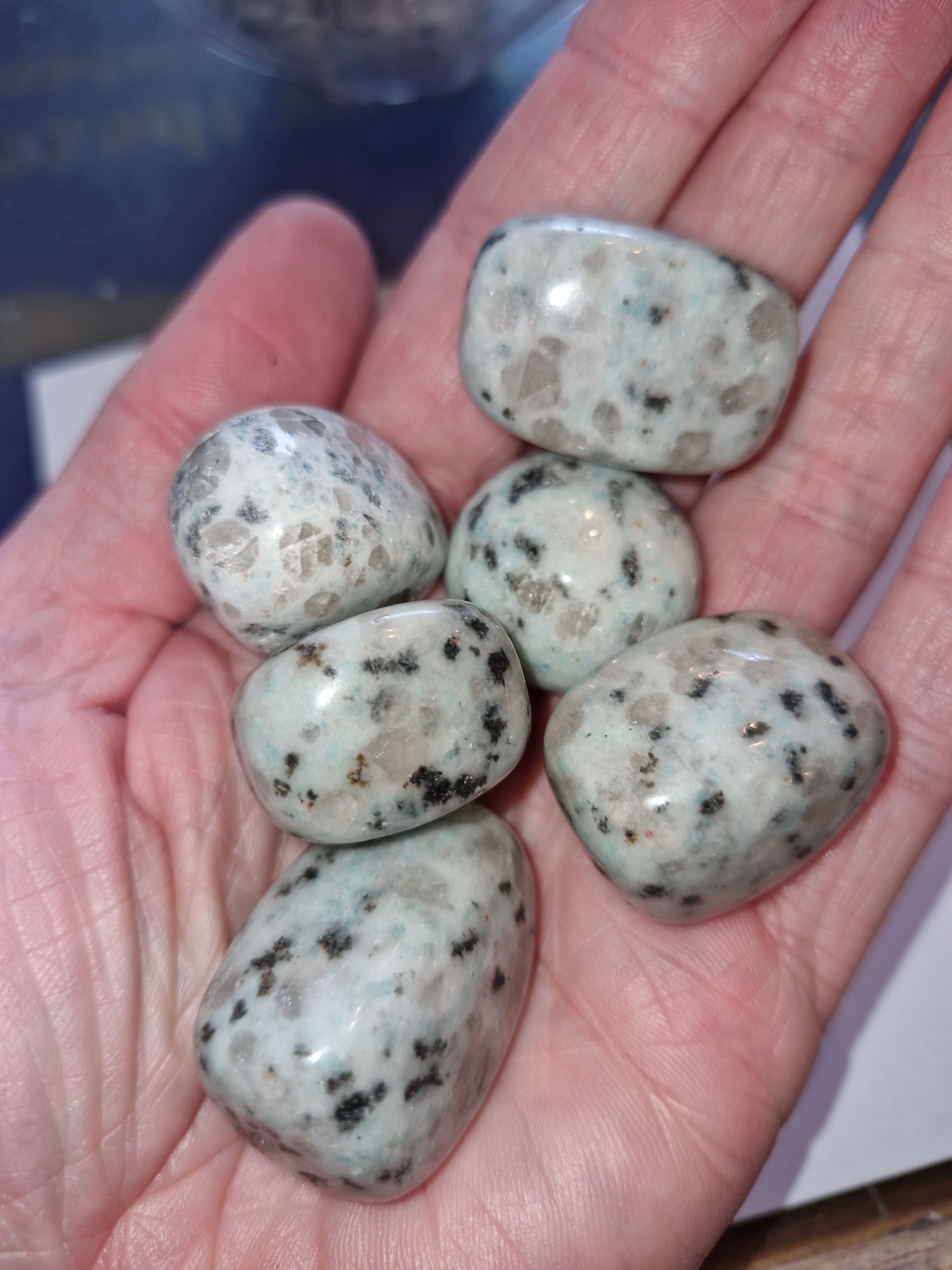 Kiwi Jasper