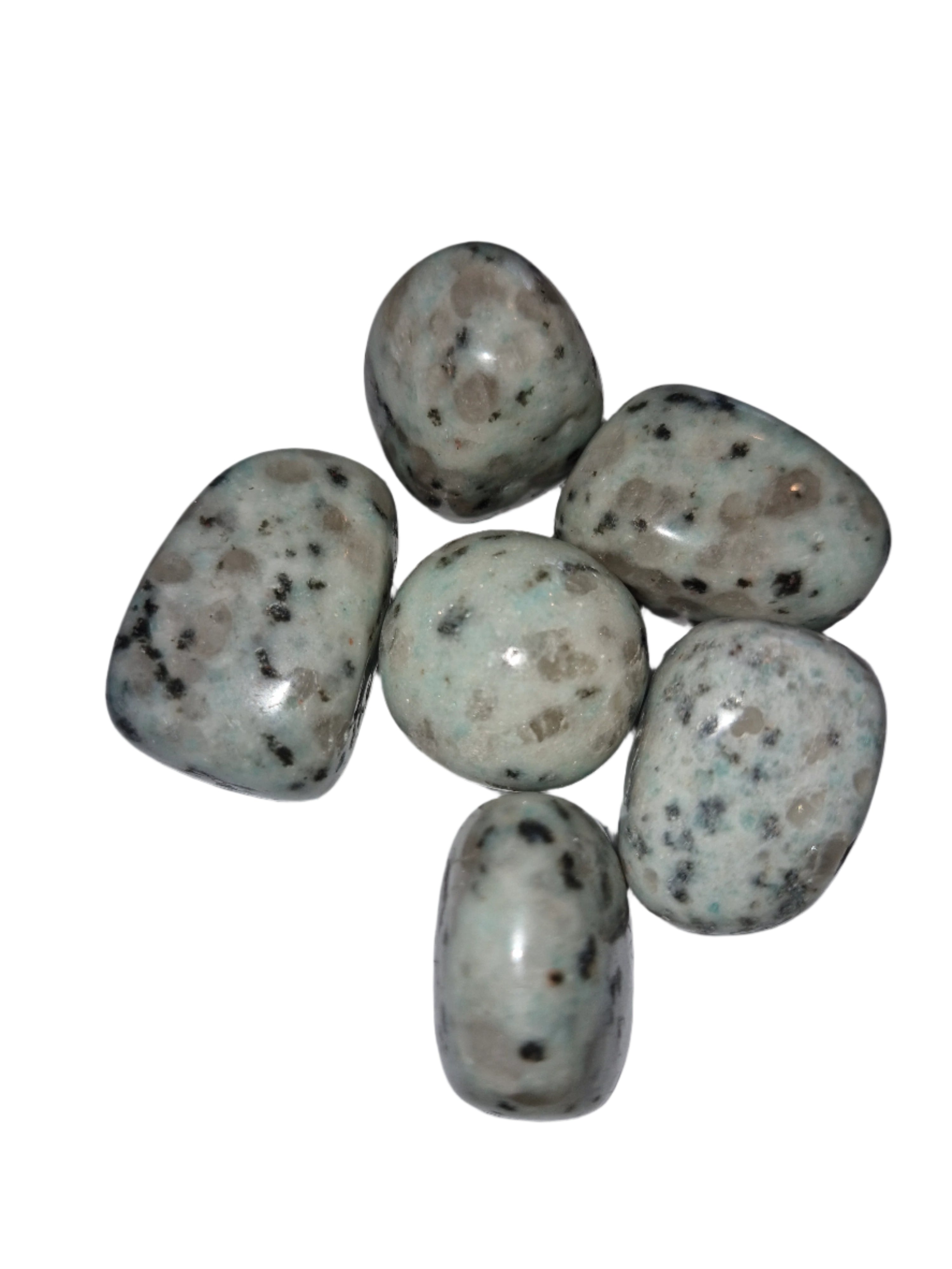 Kiwi Jasper