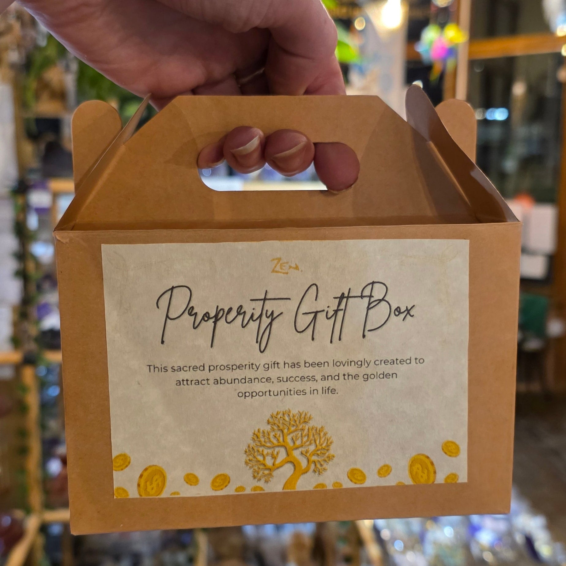 Prosperity Gift/Ritual Kit