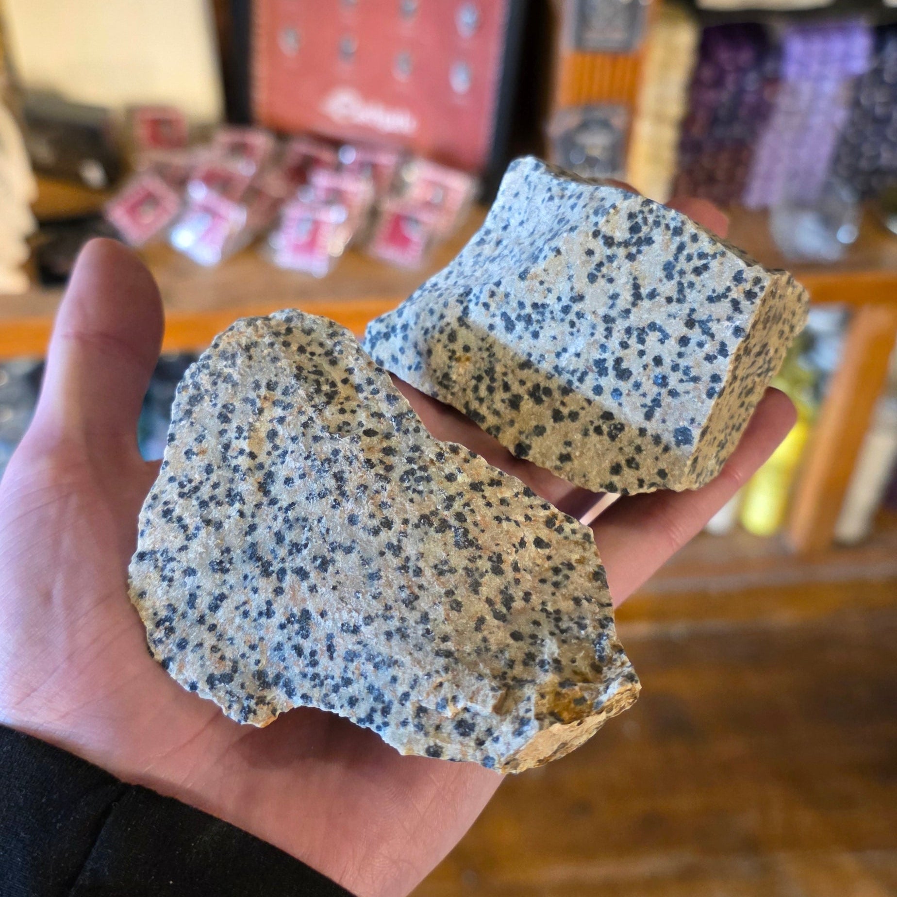 Large Raw Dalmatian Jasper