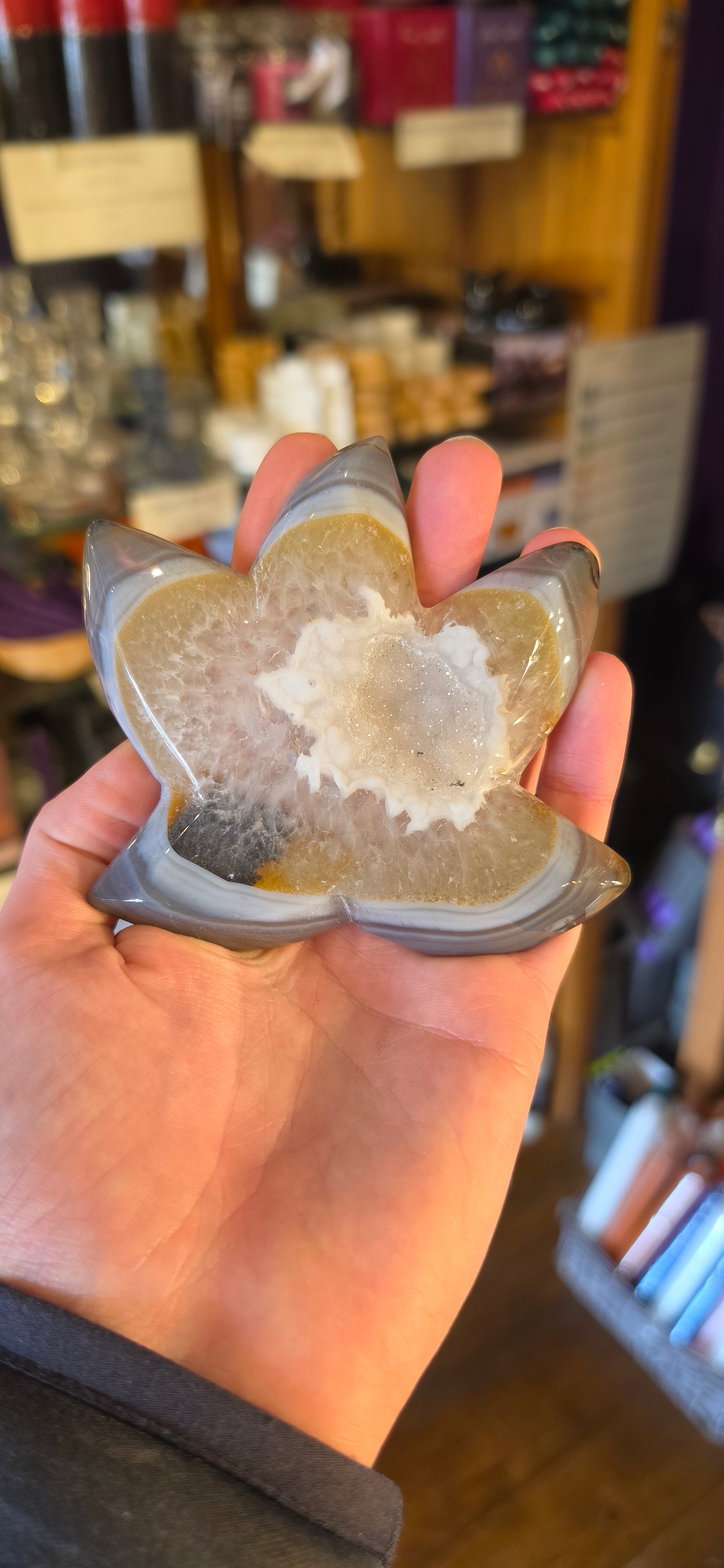 Druzy Agate Starfish