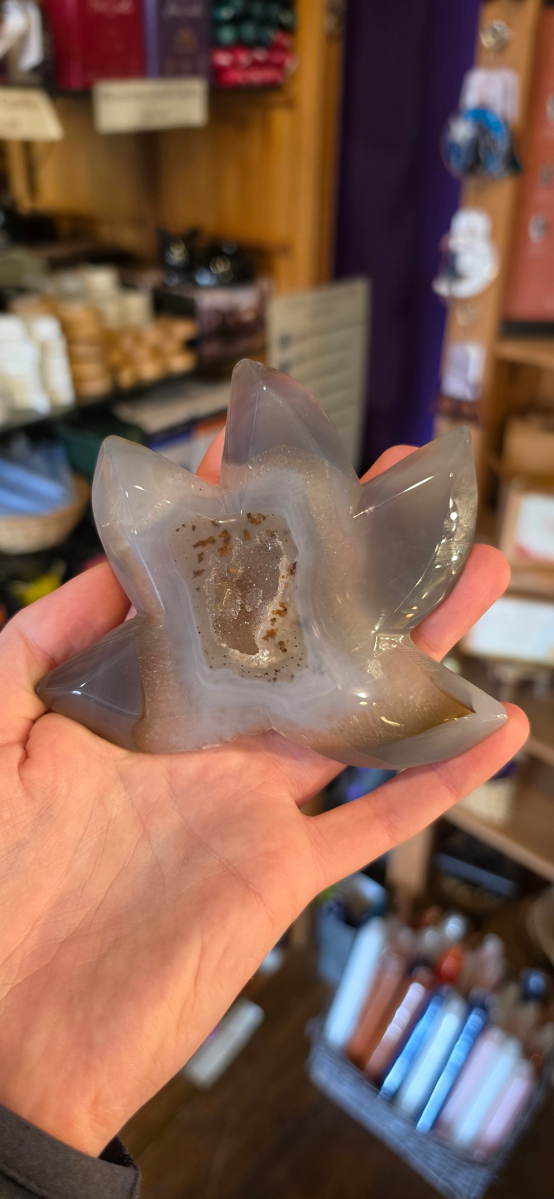 Druzy Agate Starfish