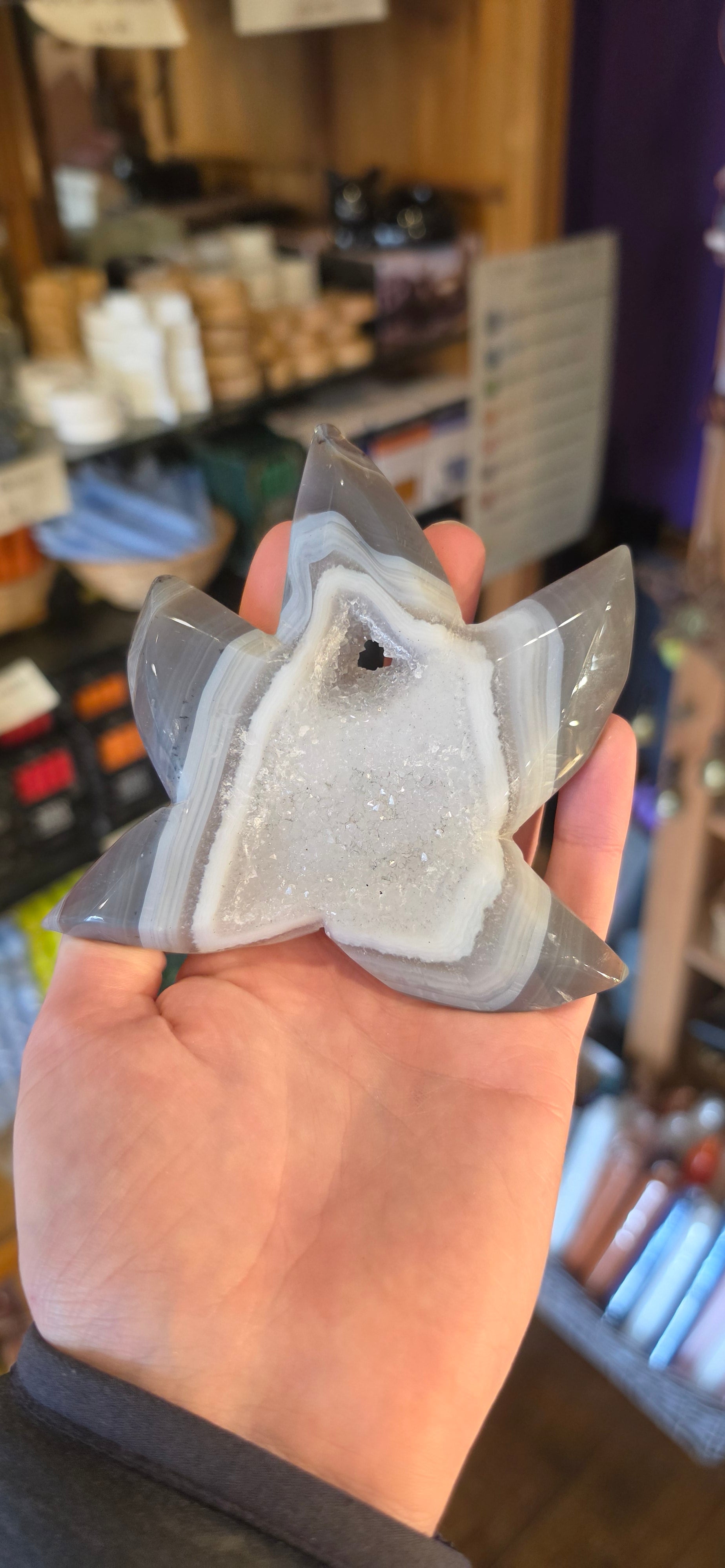 Druzy Agate Starfish