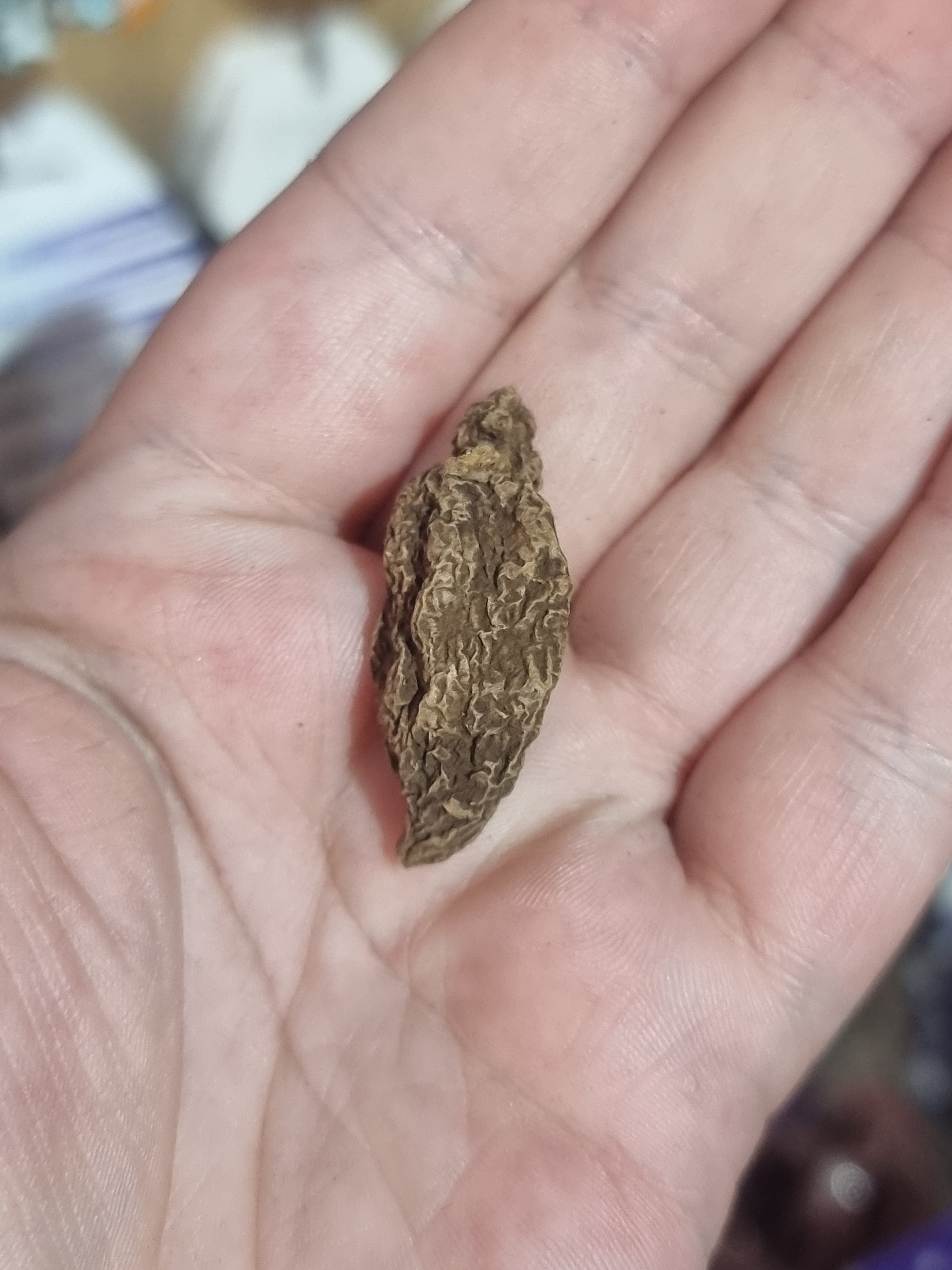 John The Conqueror Root