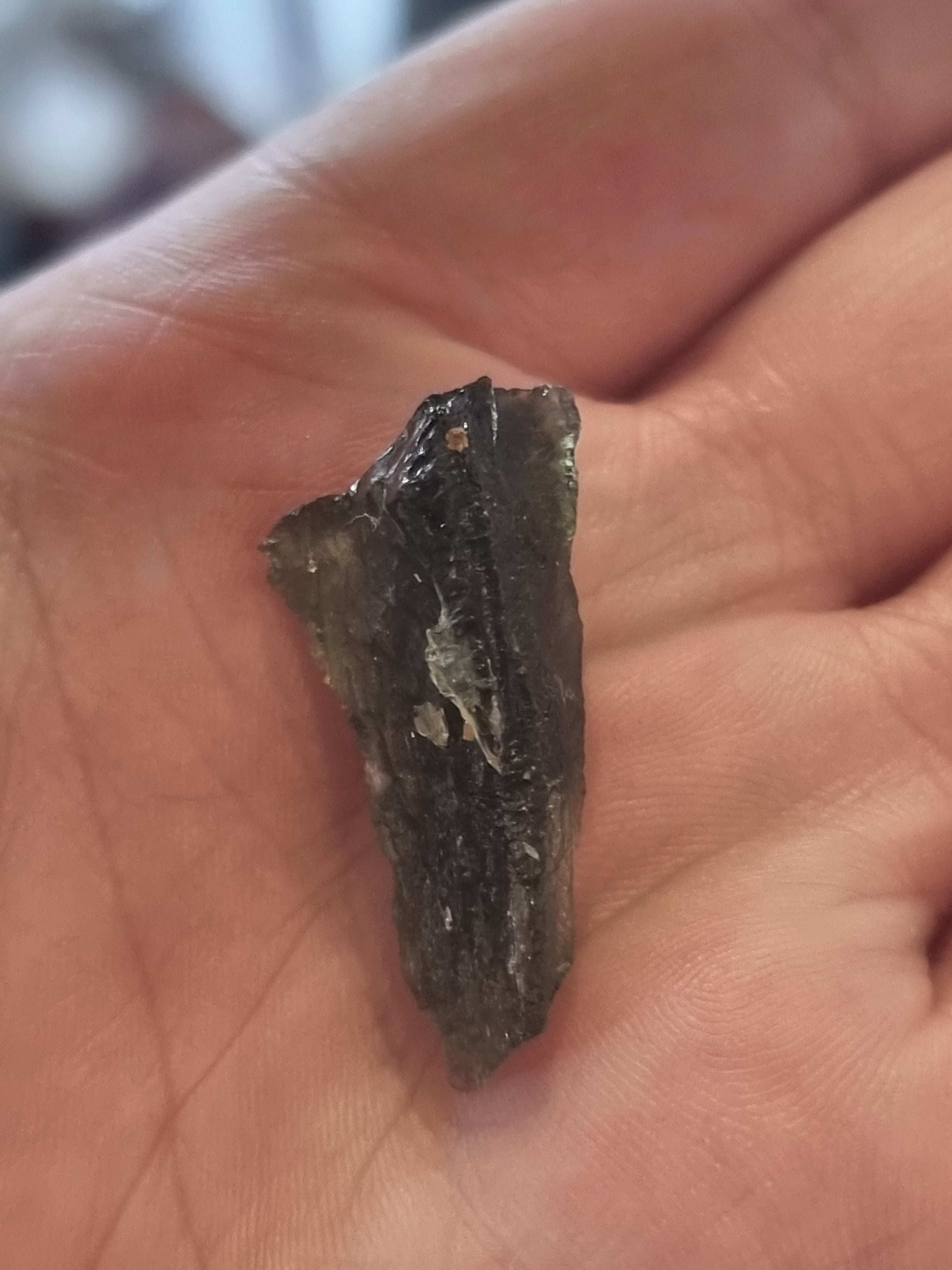 Moldavite (2.8g)