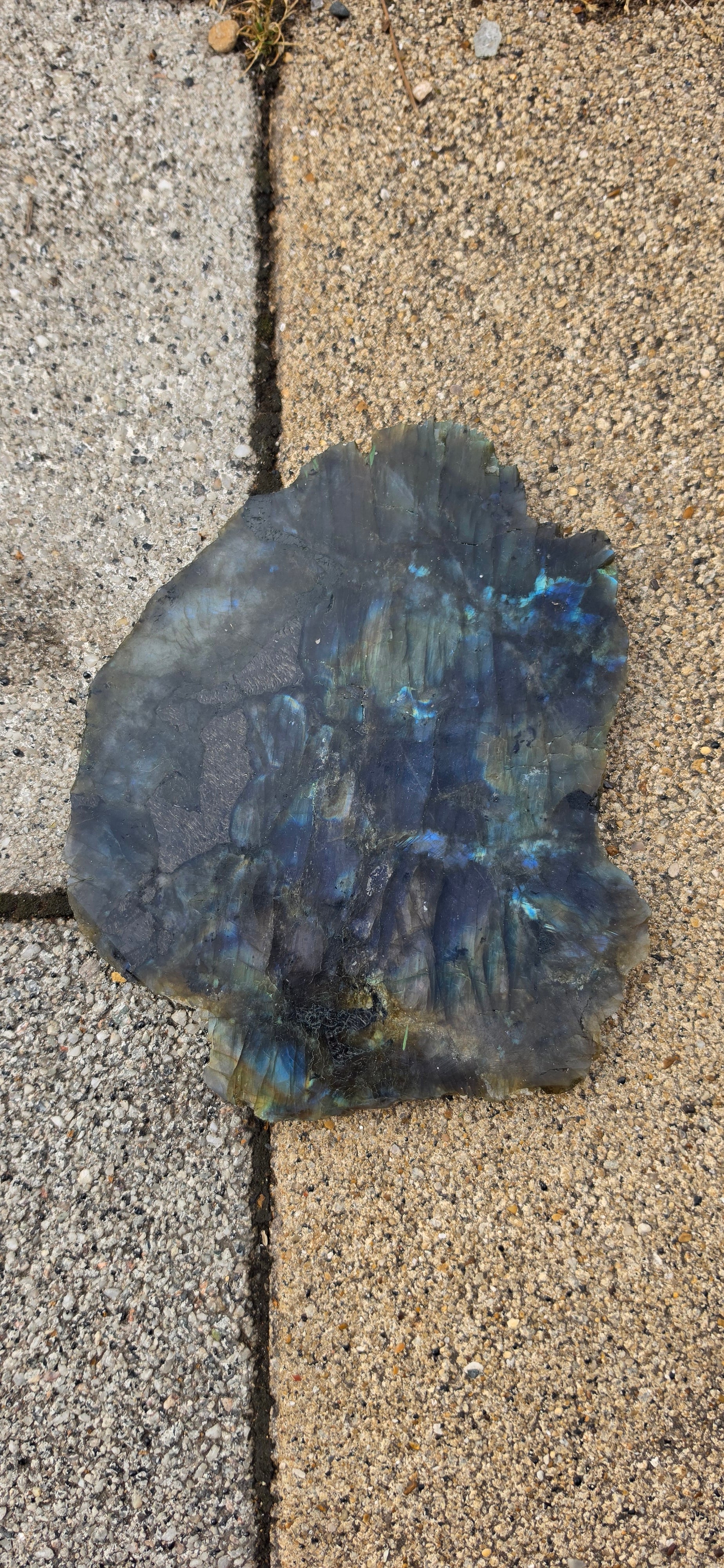 Labradorite Slices (Large)