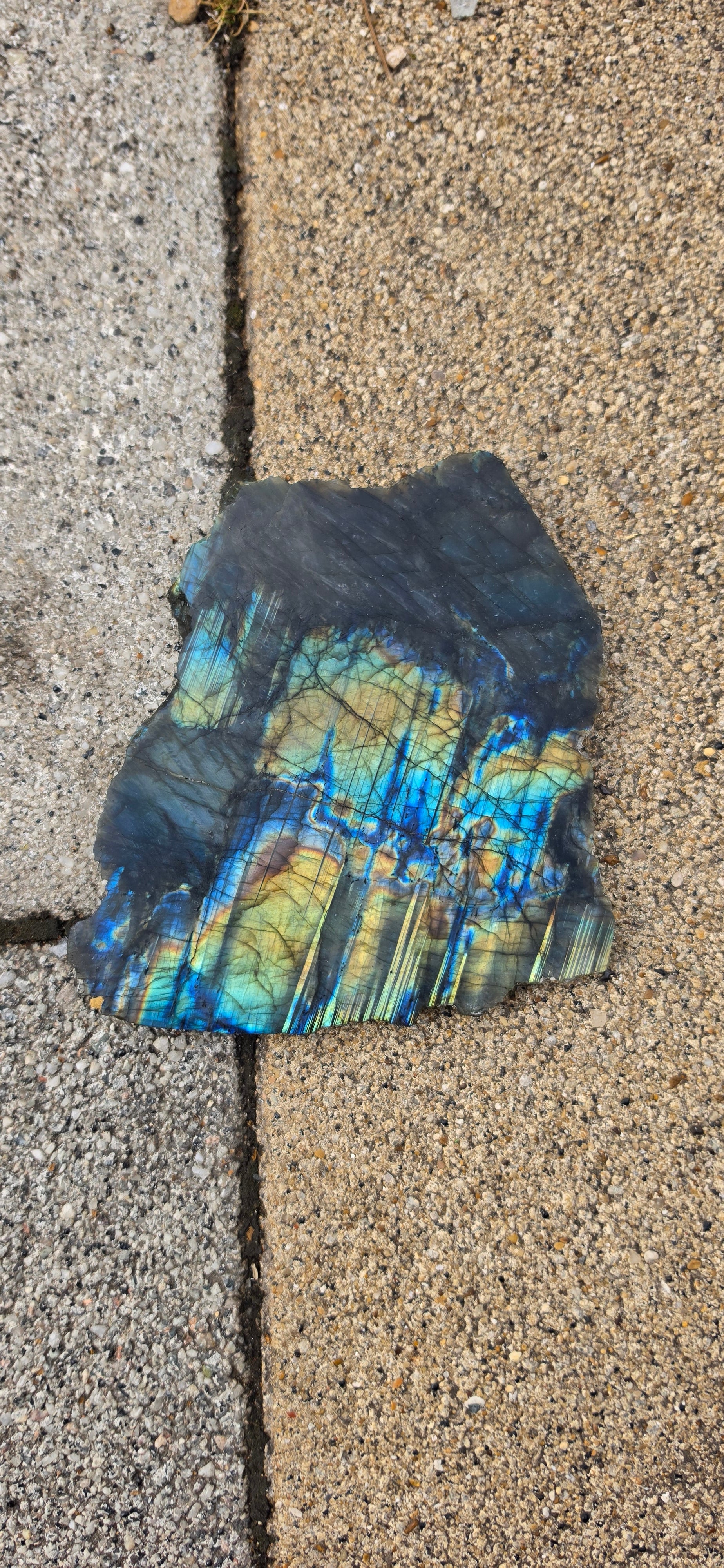 Labradorite Slices (Large)