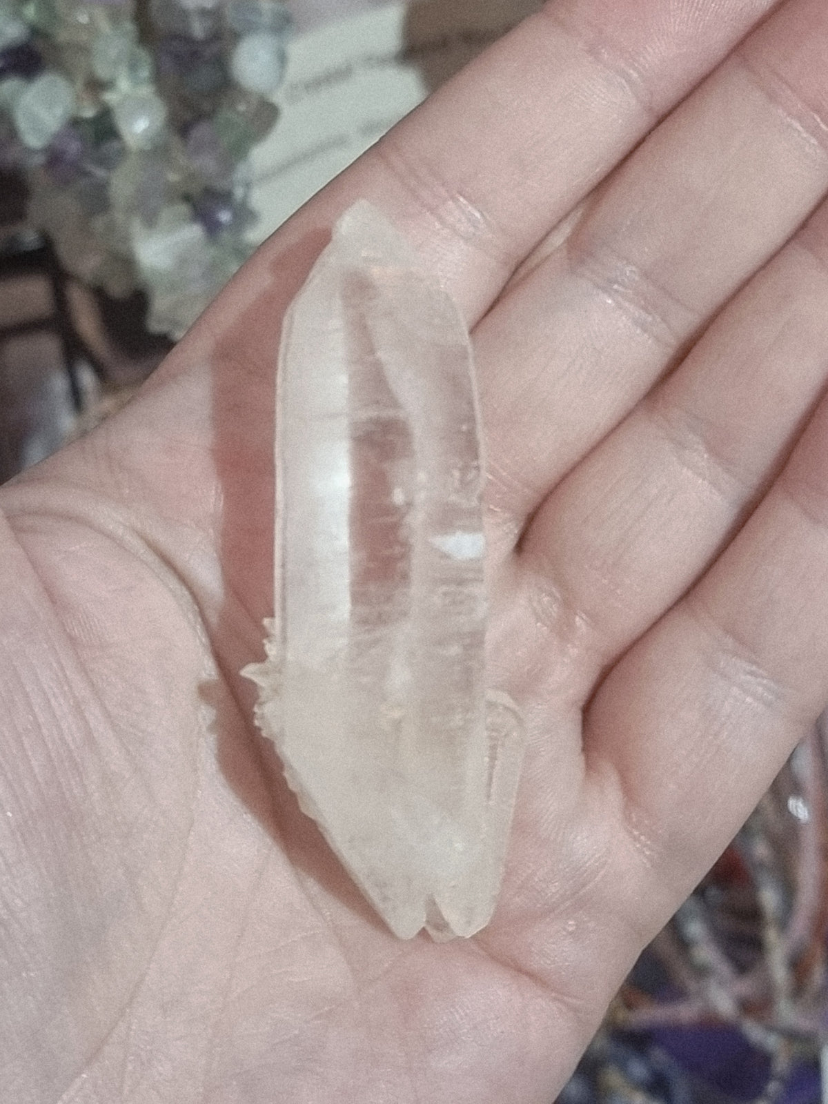 Engulfed Quartz Mother & Child (XQ9)