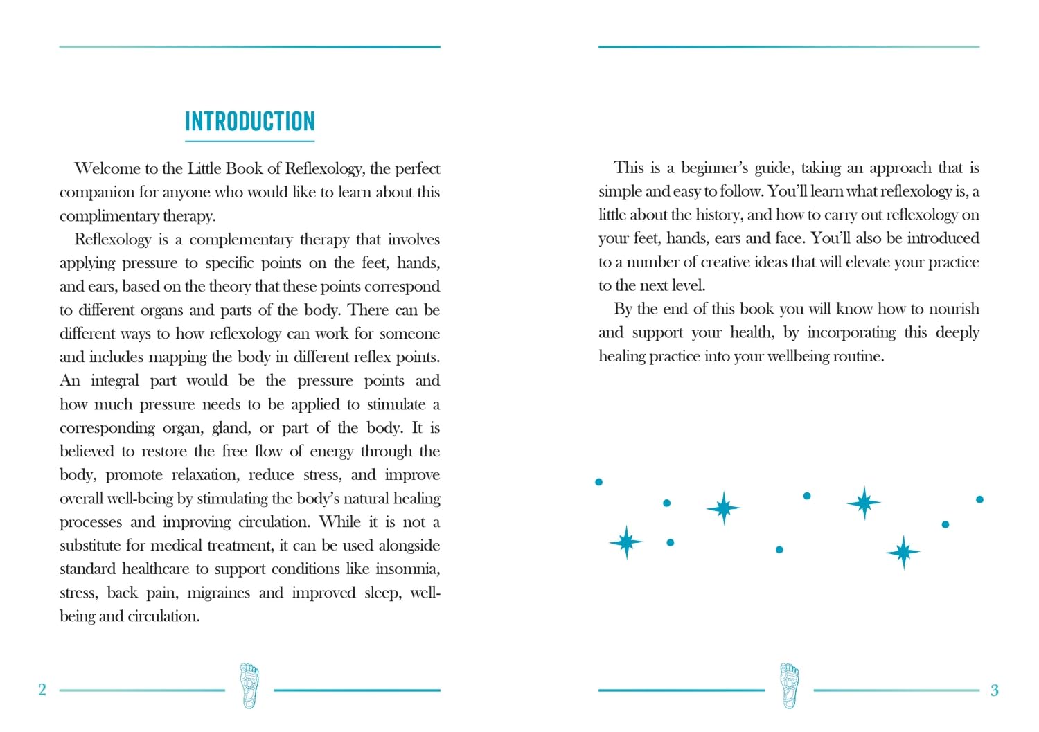 The Little Book of Reflexology