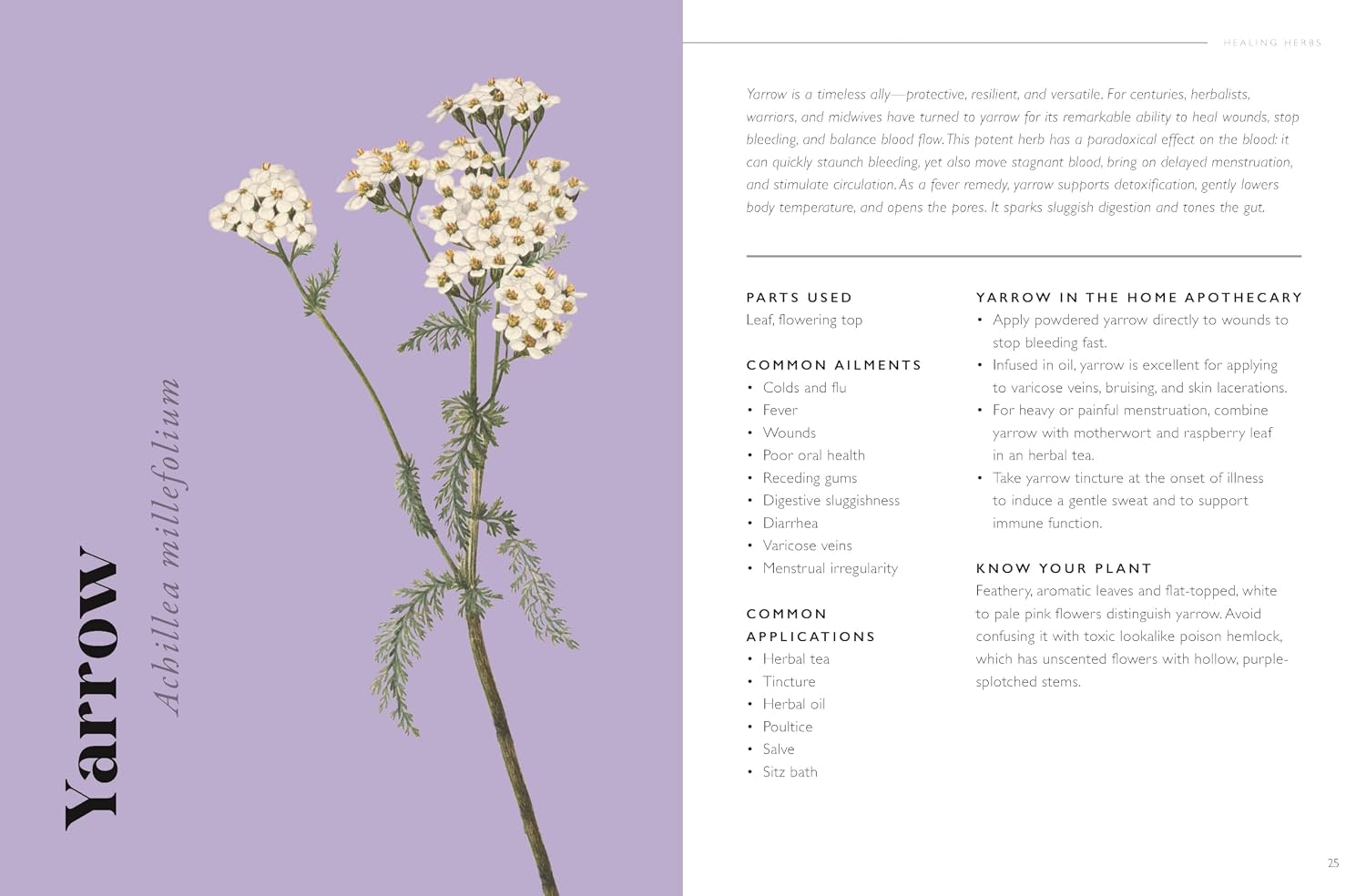 The Plant Pharmacy