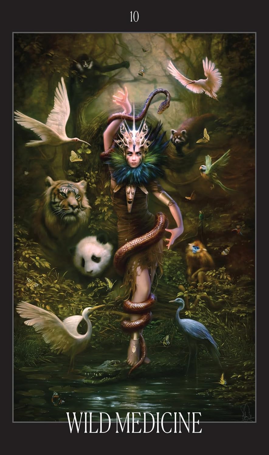 Oracle of the Vampire Fae