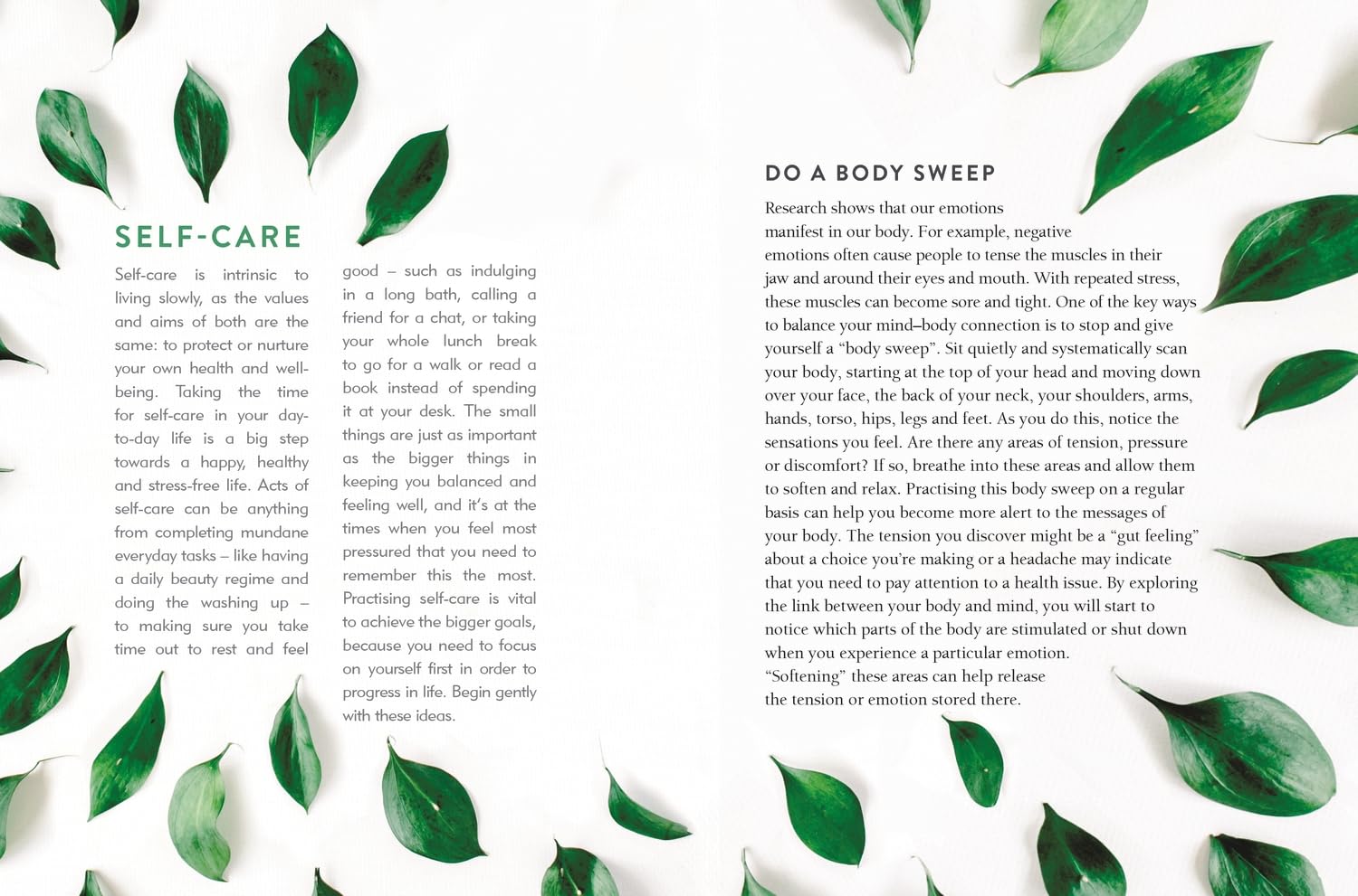 The Art of Slowing Down
