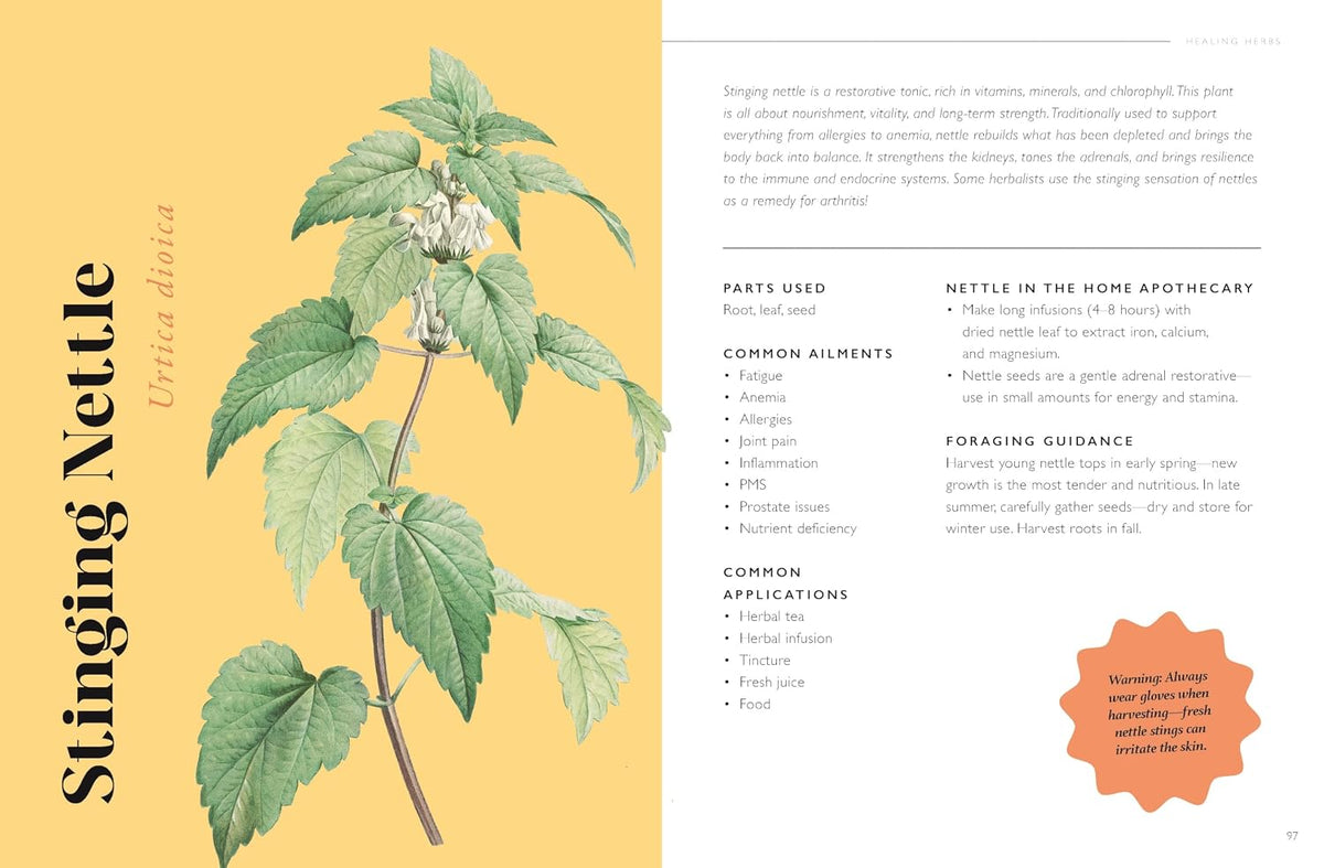 The Plant Pharmacy