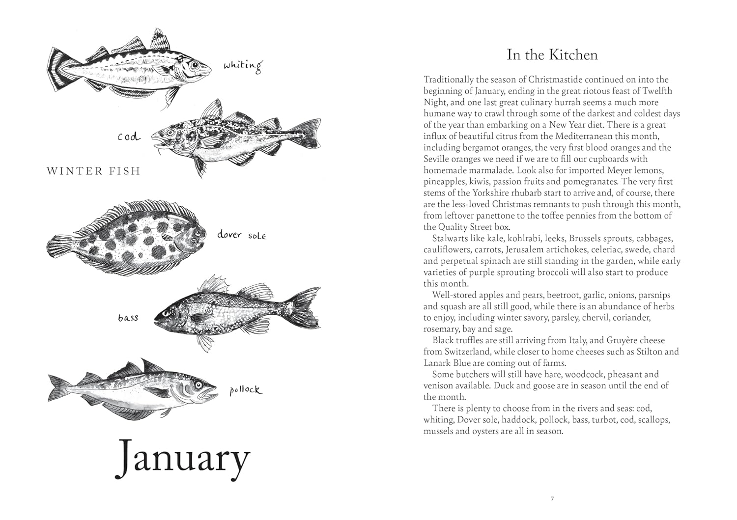 A Year of Feasting & Festivities: A Celebration of the Seasons