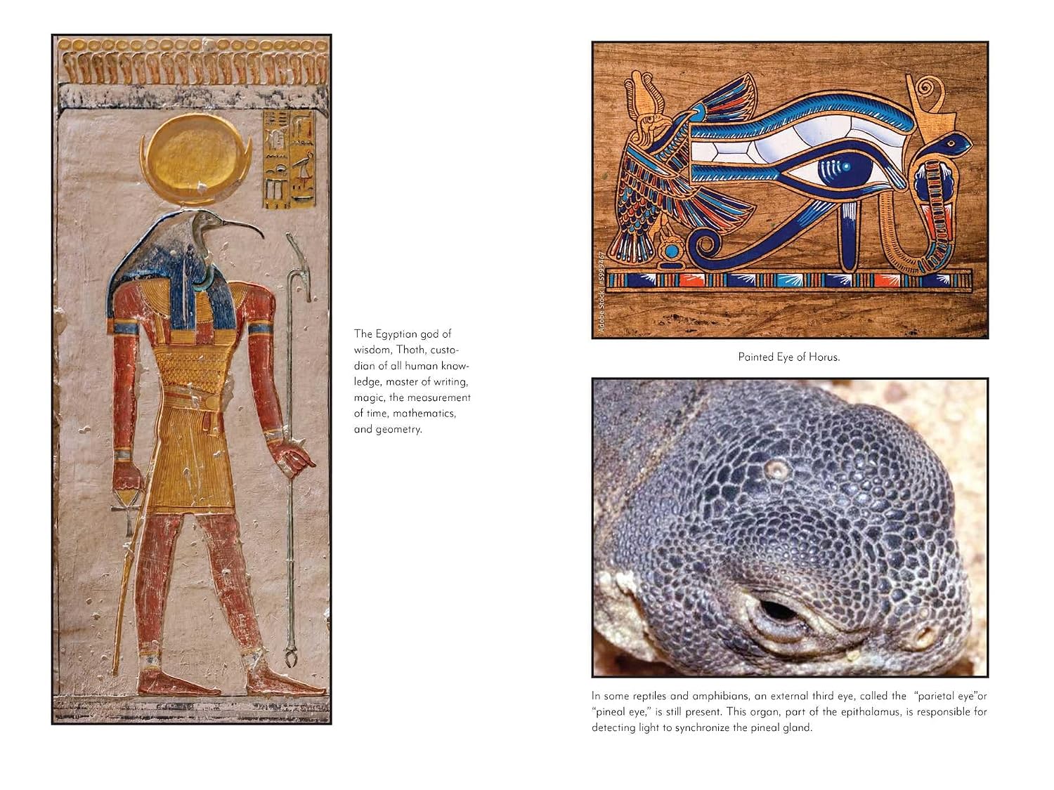 Awakening the Pineal Gland