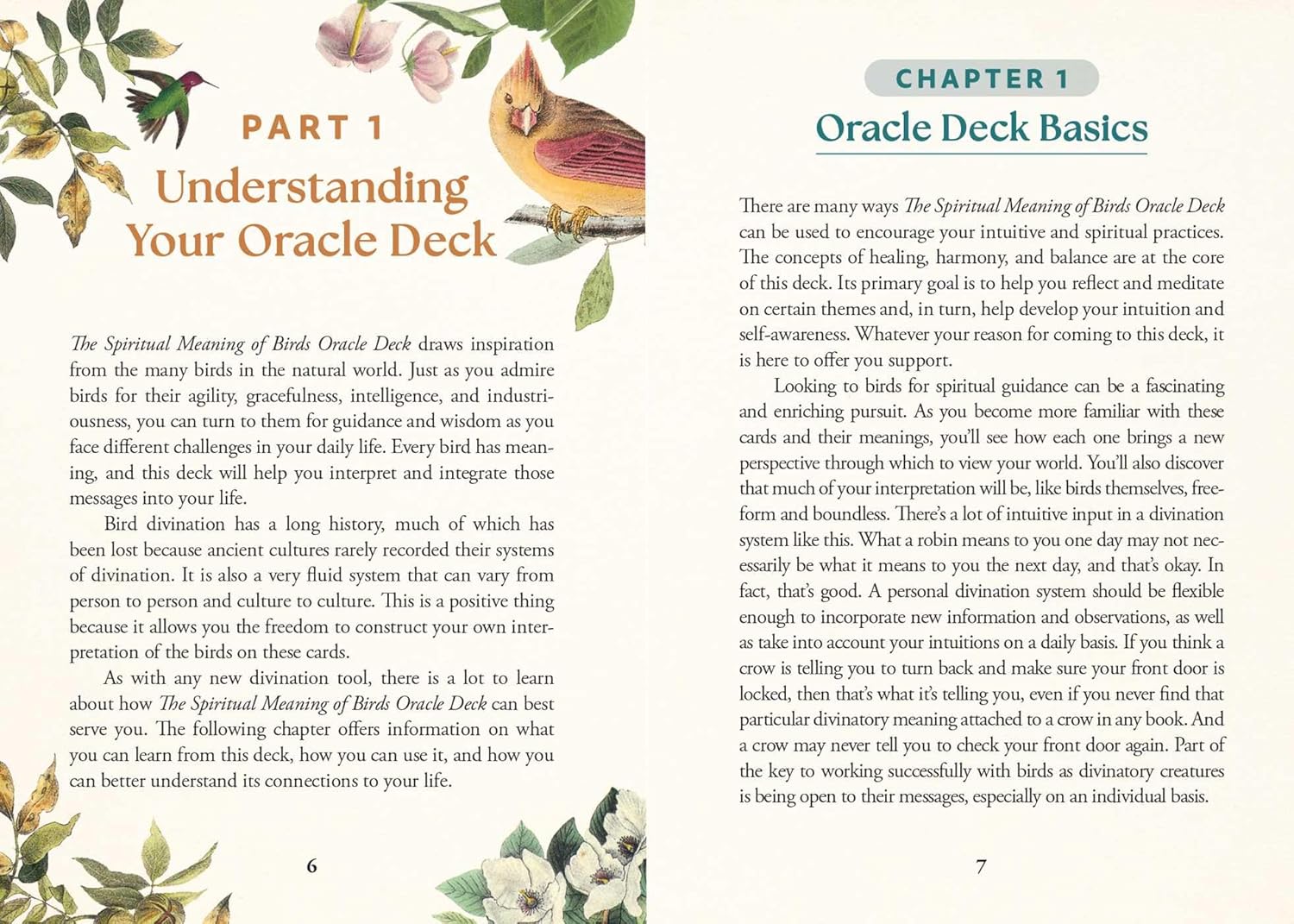 The Spiritual Meaning of Birds Oracle