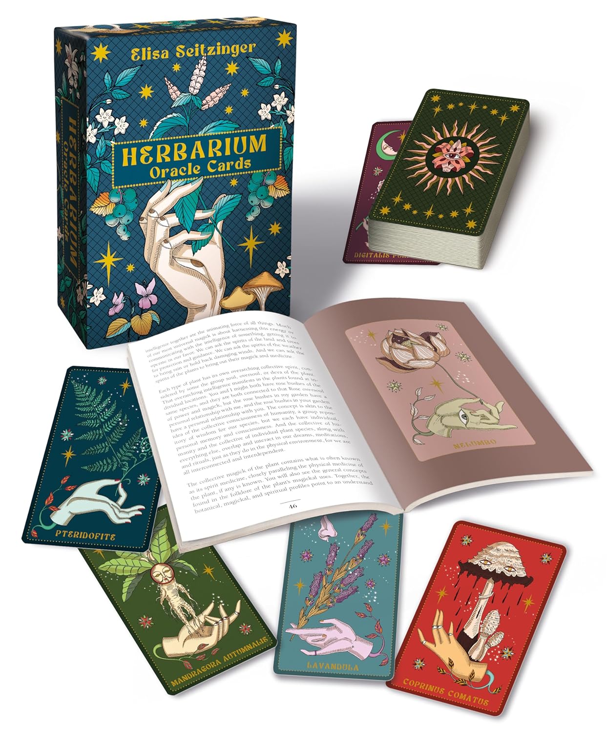 Herbarium Oracle Cards